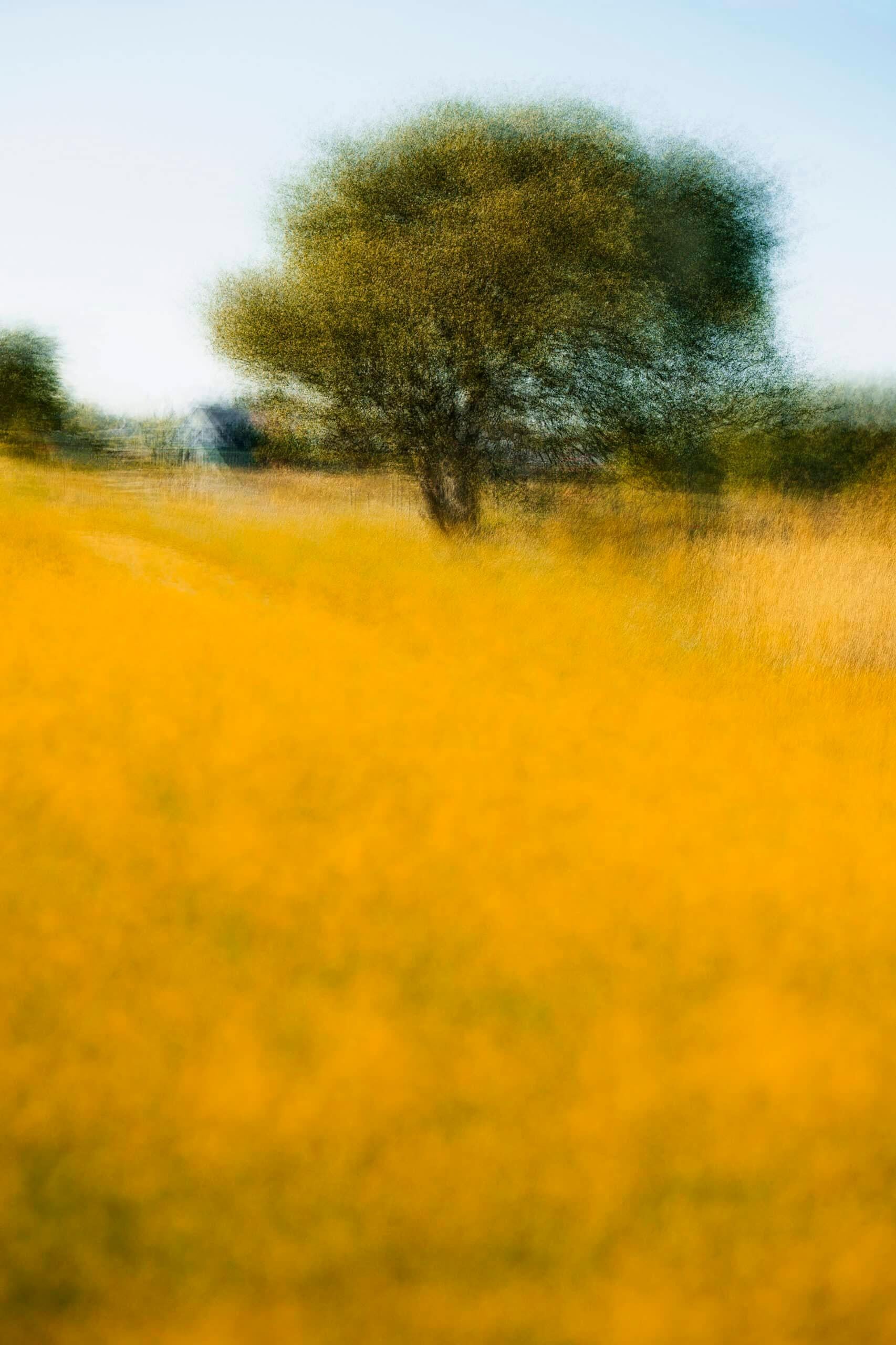 Jacob Gils Color Photograph - Pibemoelle #11 - Contemporary Landscape Photograph