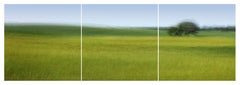 Pibemoelle #12 Triptychon von Jacob Gils - Zeitgenössische Naturfotografie - Feld