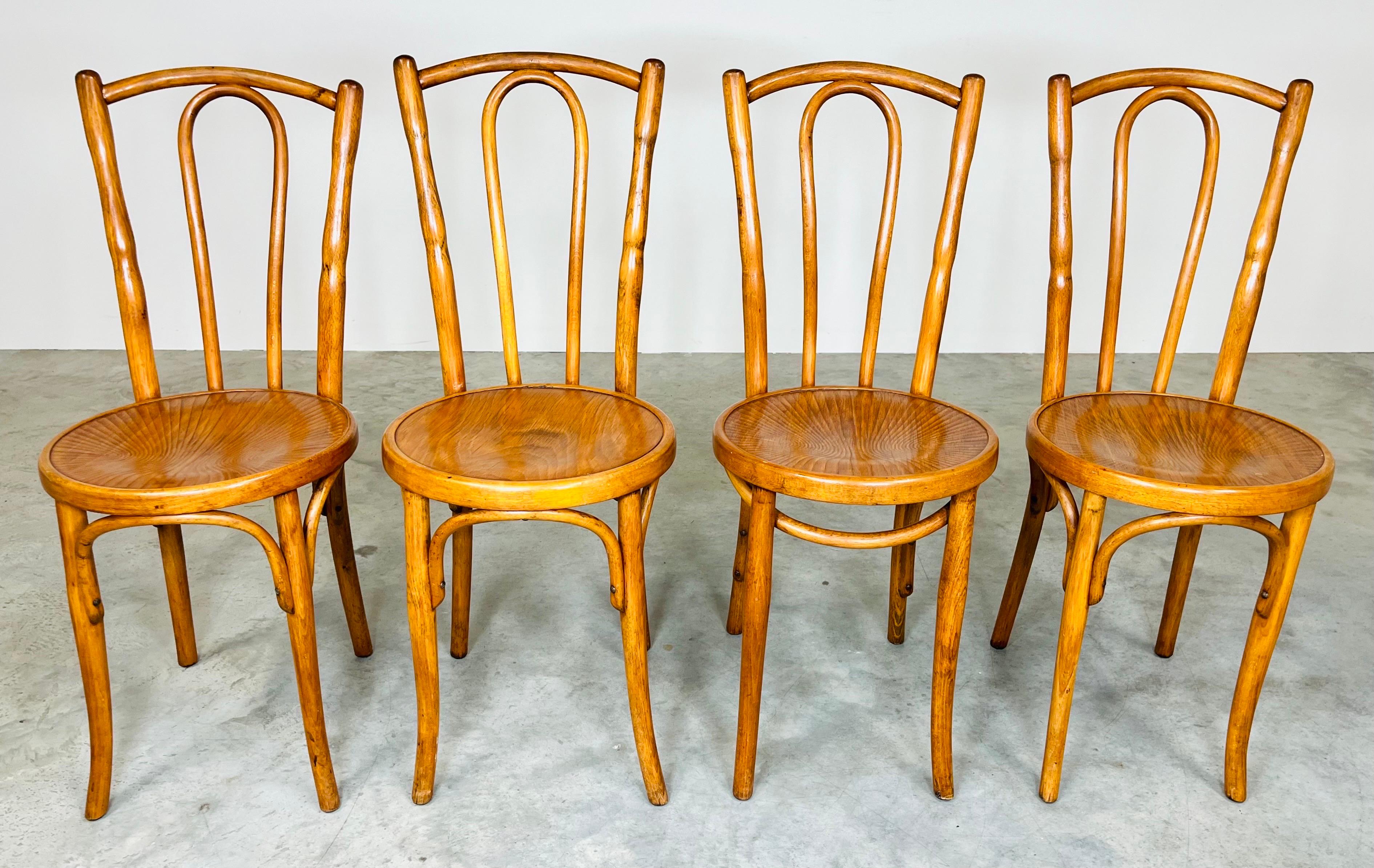 polish bentwood chairs