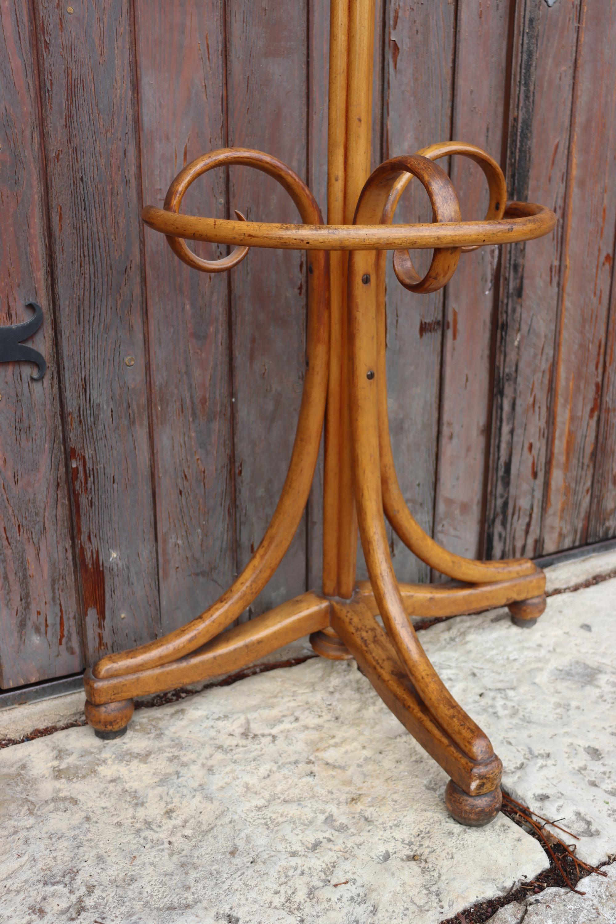 Jacob & Joseph Kohn Semi-spherical Coat Rack In Bentwood (Arts and Crafts) im Angebot