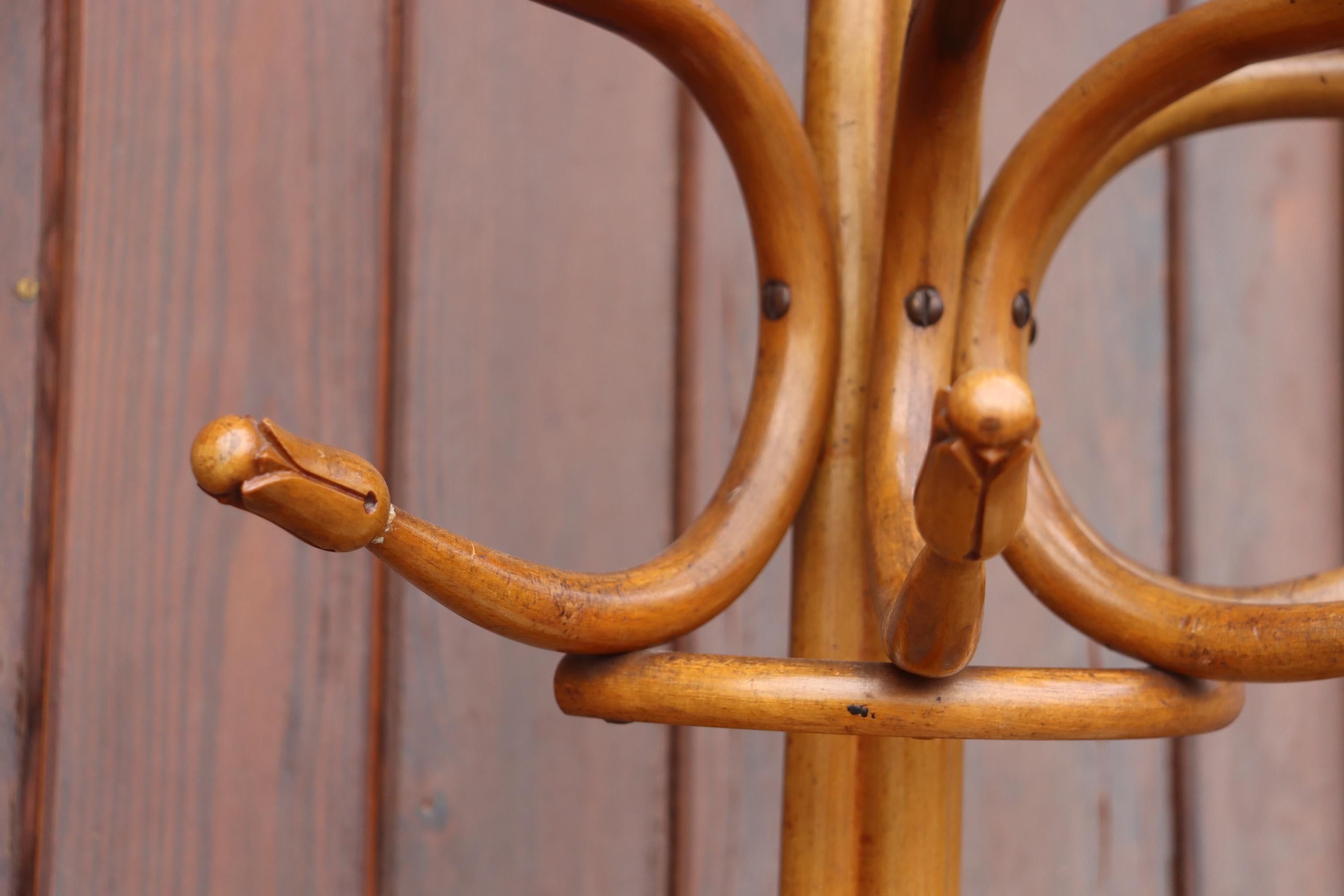 Jacob & Joseph Kohn Semi-spherical Coat Rack In Bentwood (Österreichisch) im Angebot