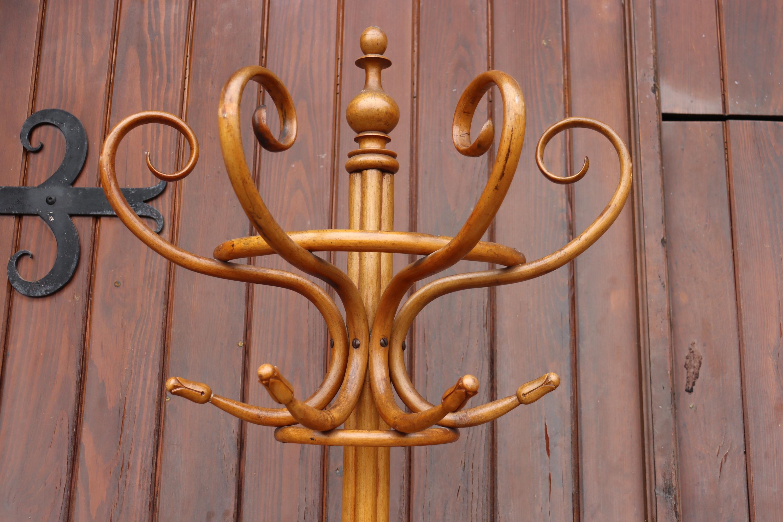 Jacob & Joseph Kohn Semi-spherical Coat Rack In Bentwood (19. Jahrhundert) im Angebot