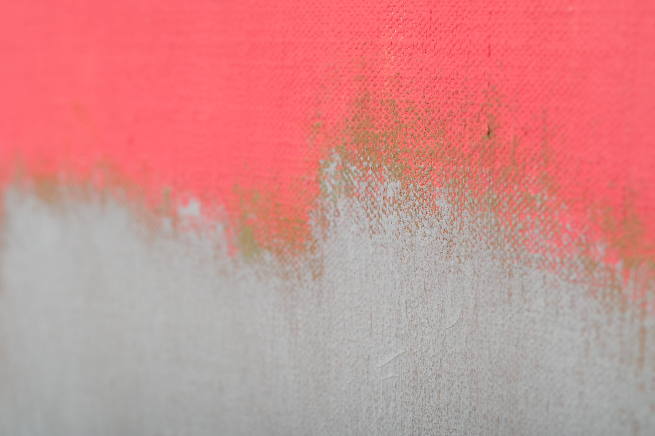 Argo - Abstract Painting Rosa di Jacob Kainen