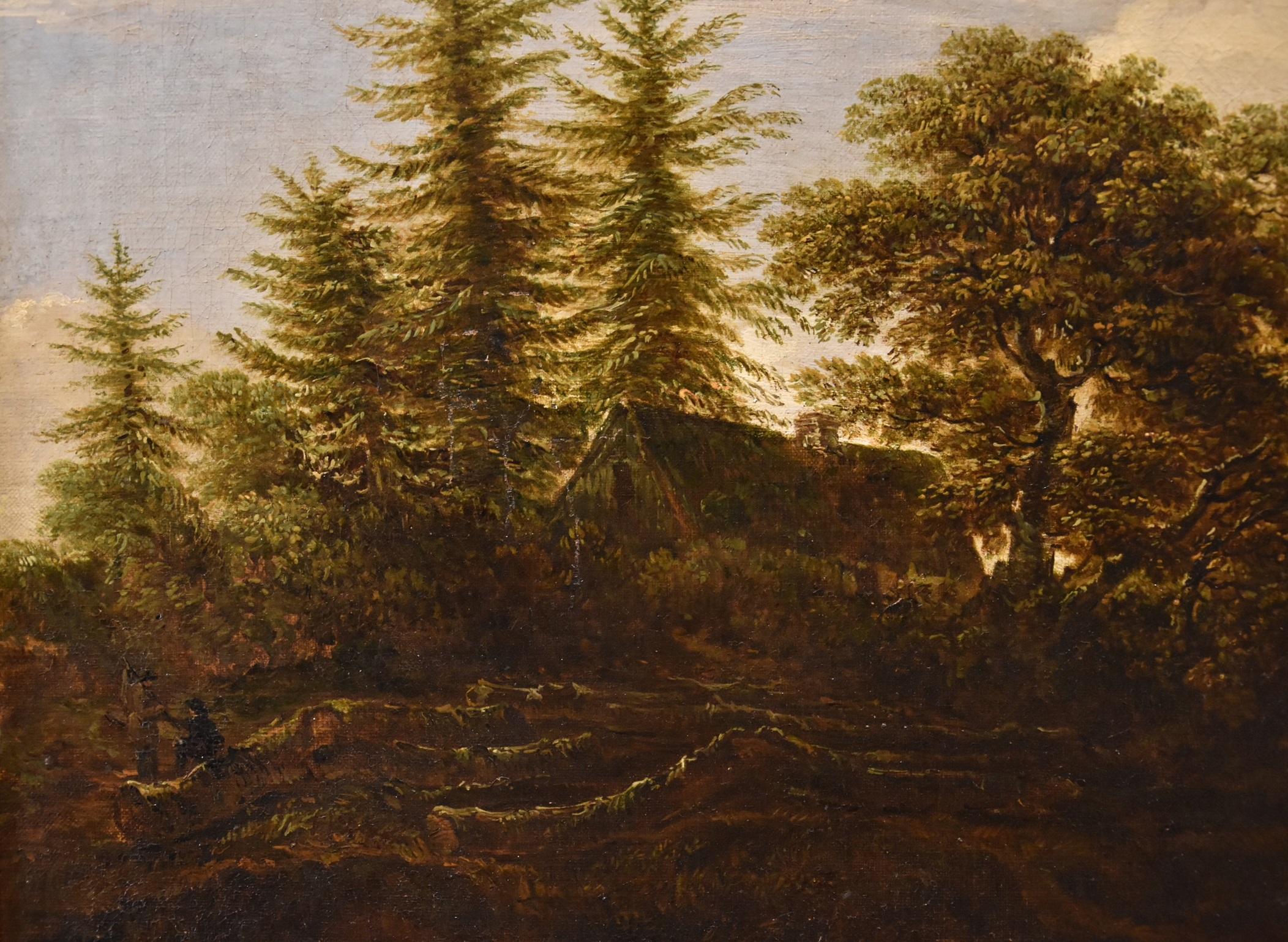 Paesaggio Wood Cascata Van Ruisdael Dipinto olio su tela 17° secolo fiammingo in vendita 14