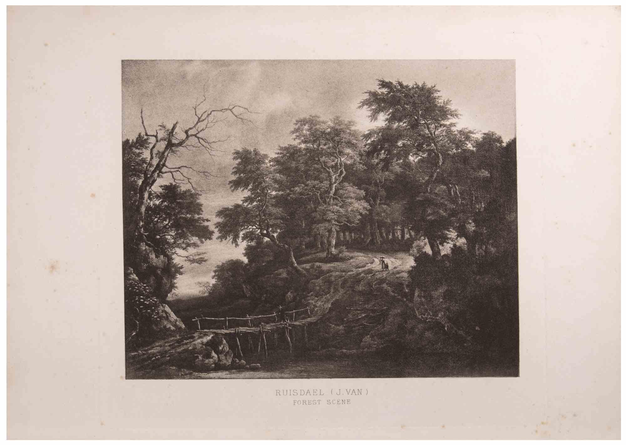 Forest Scene is an etching on paper realized by Jacob Van Ruisdael in the 18th century.

Signed on plate.

Title on the lower center.

Good condition.

The artwork expressed poetically through well-defined chiaroscuro with admirble fine details.