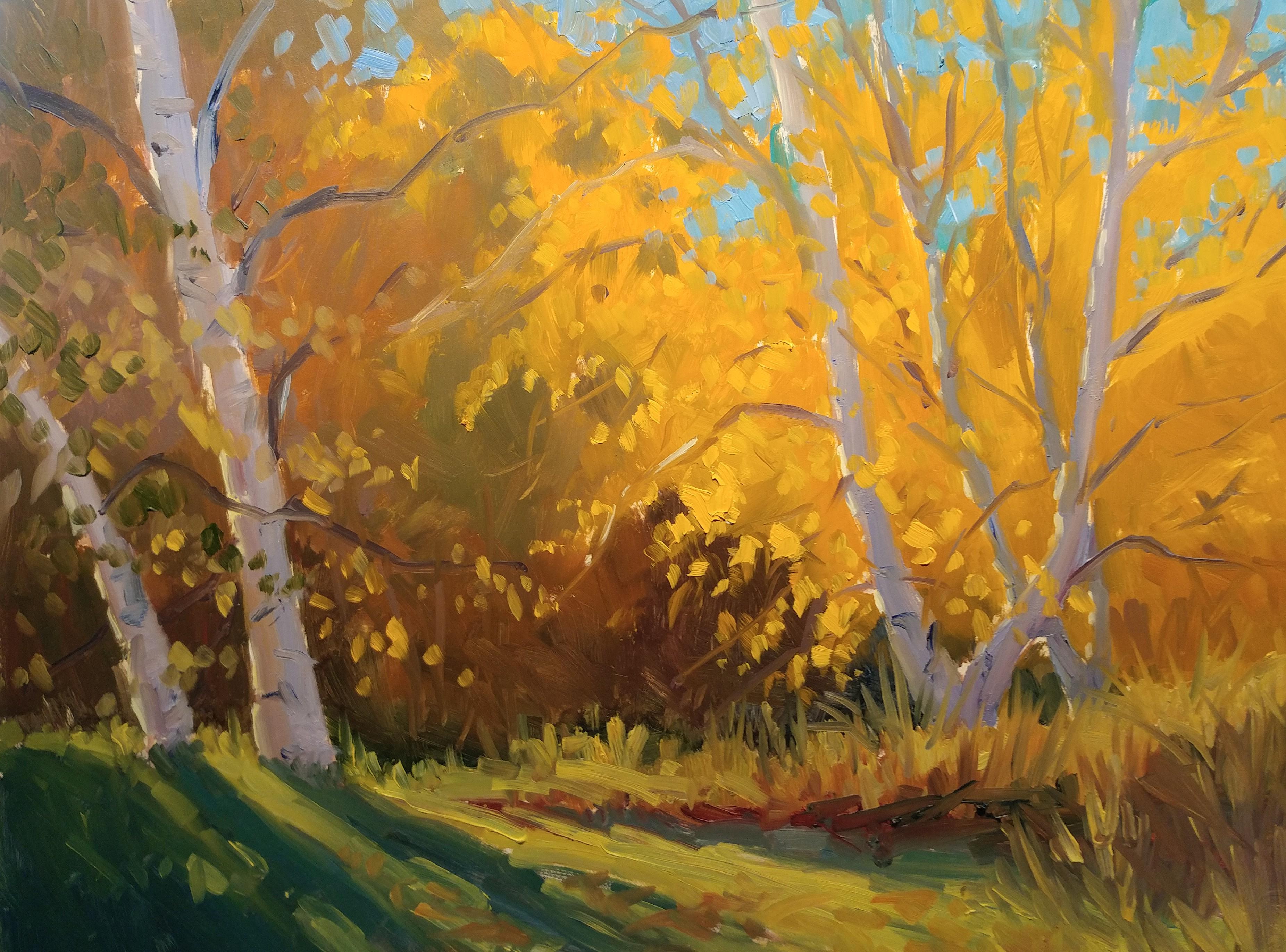 Jacobus Baas Landscape Painting - "Autumn Glow" Maine Plein Air Oil Painting