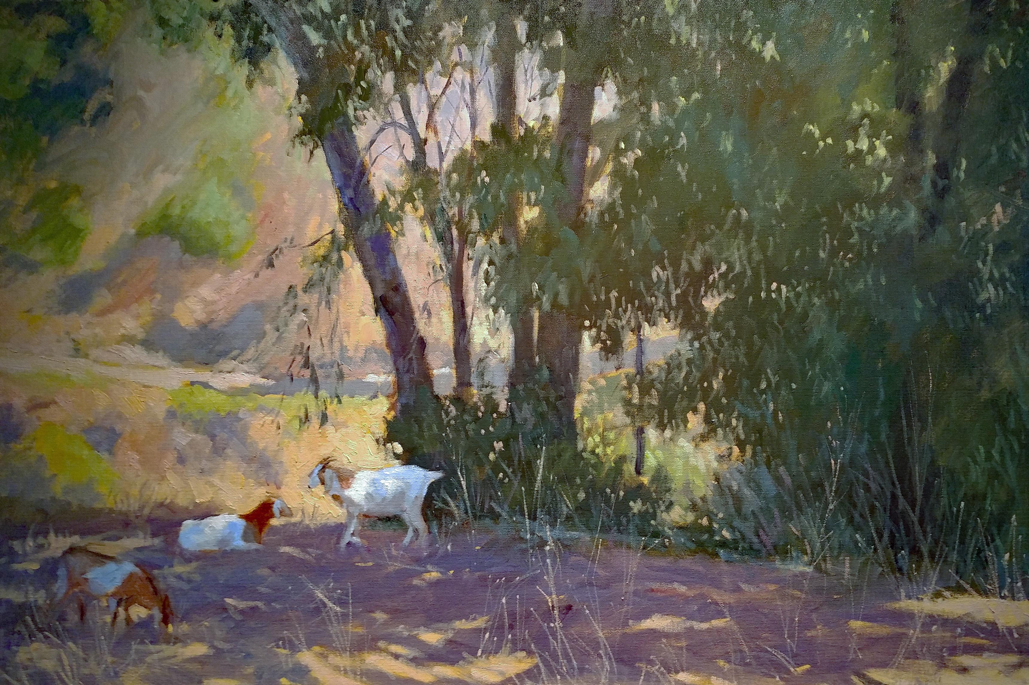 australian landscape paintings for sale