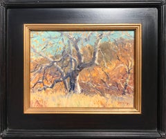 "Dilleys Sycamore"  Southern California Scene with Sycamores