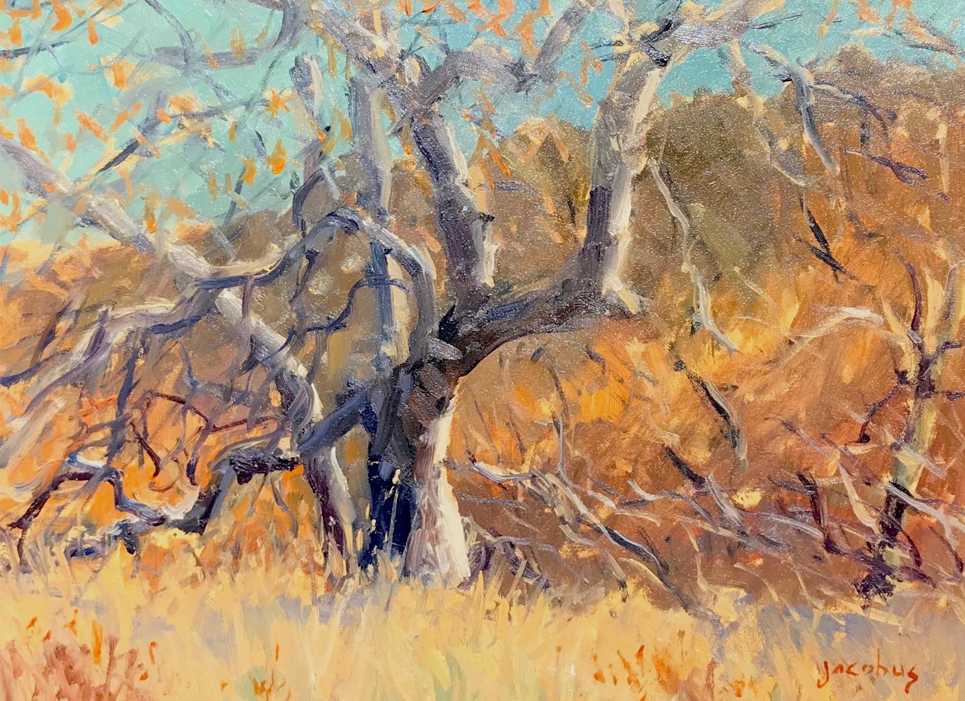 Jacobus Baas Landscape Painting - "Dilleys Sycamore"  Southern California Scene with Sycamores