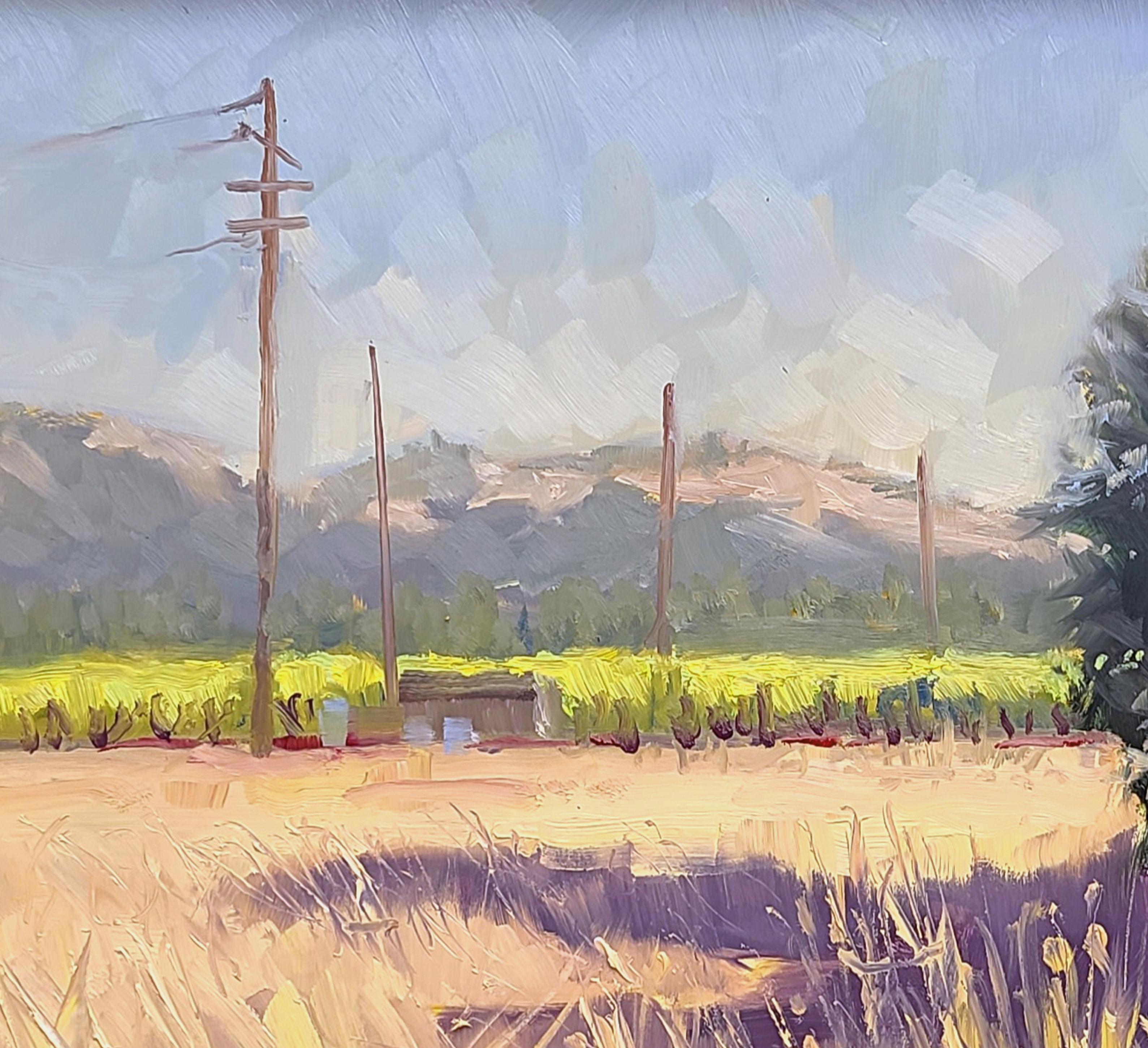 « Dry Creek Afternoon Shadows »  Scène de vignes de Californie - Impressionnisme Painting par Jacobus Baas