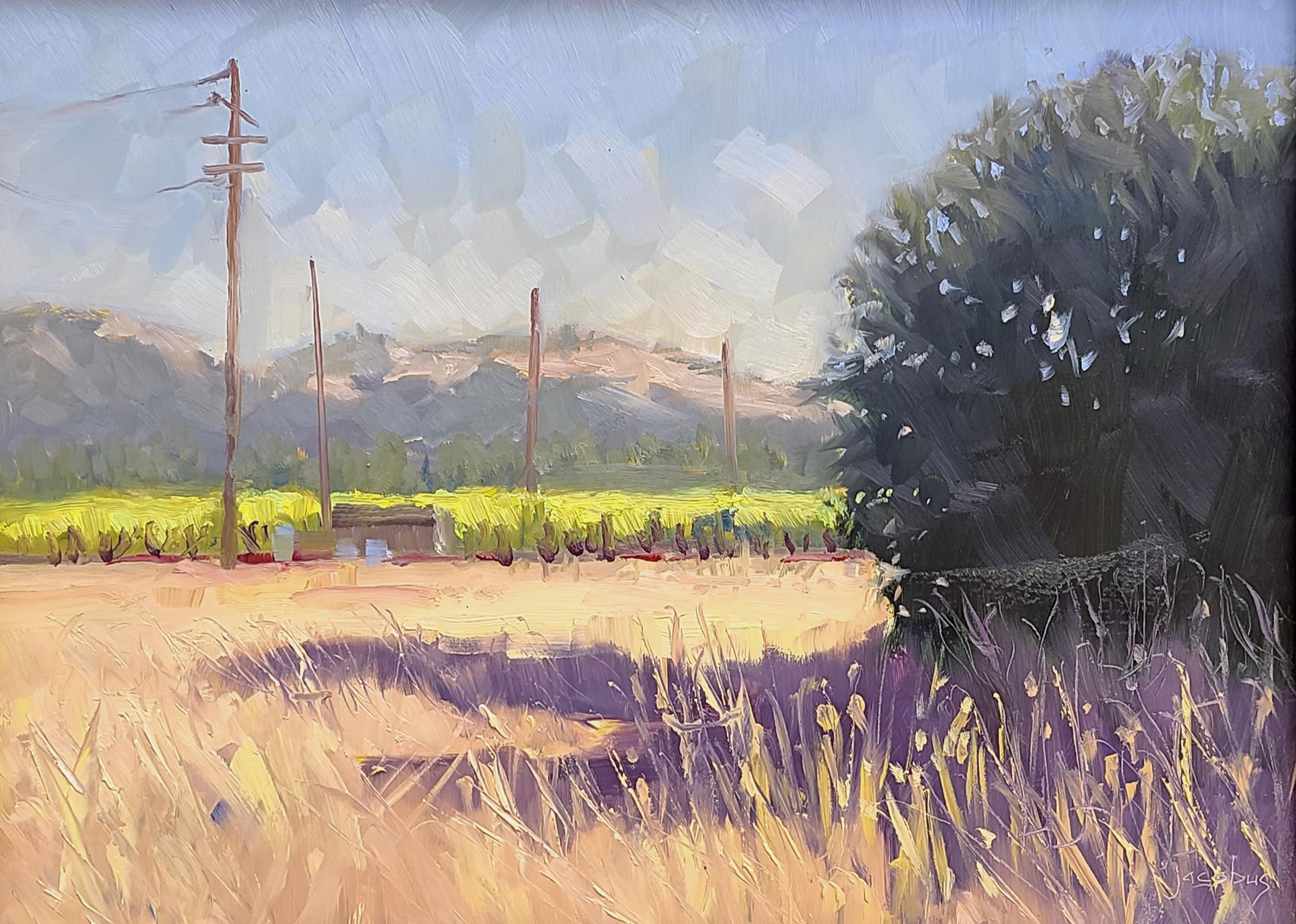 Landscape Painting de Jacobus Baas - "Sombras vespertinas de Dry Creek"  Escena de la región vinícola de California