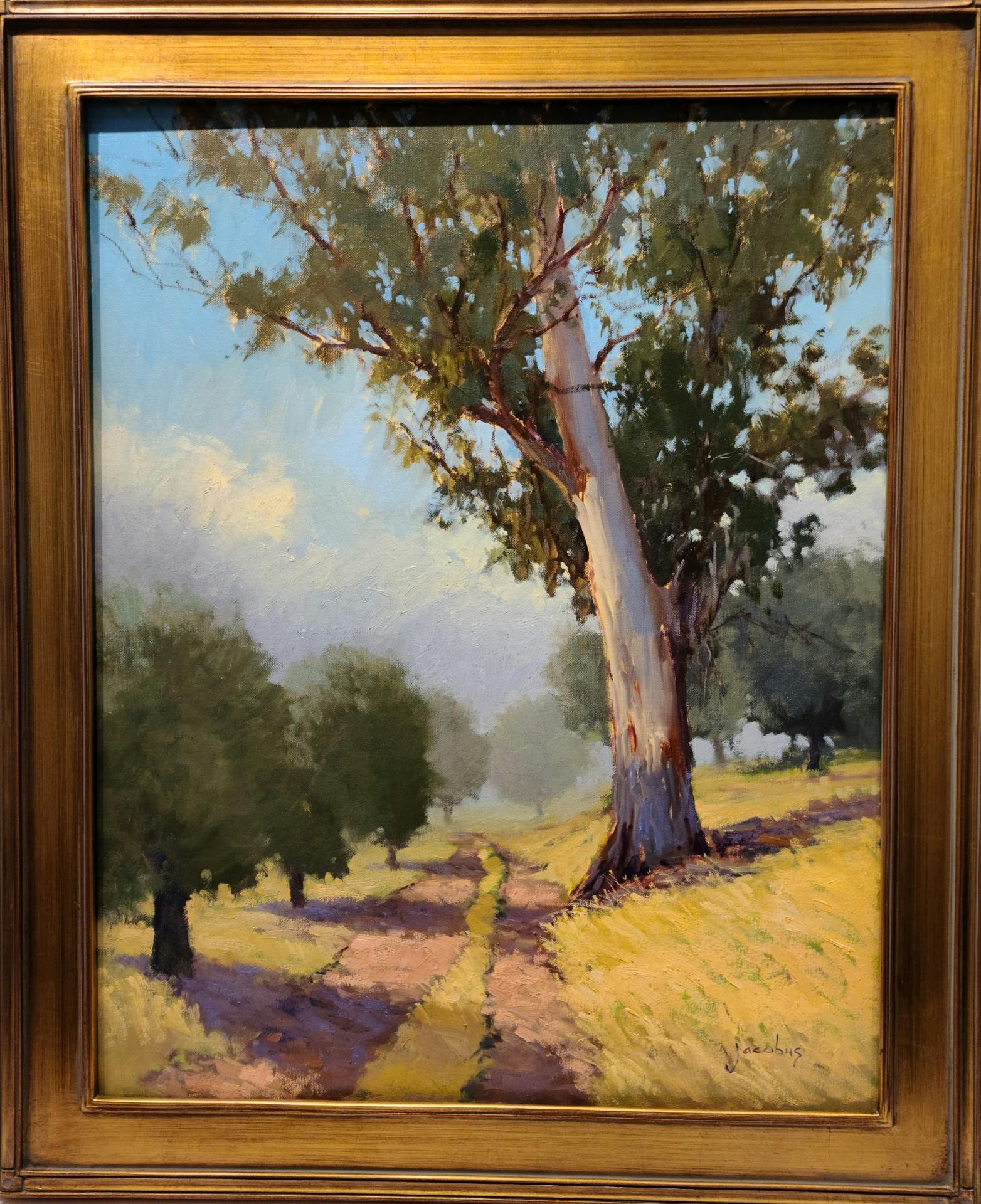 Jacobus Baas Landscape Painting - "Old Eucalyptus" California Plein Air Oil Painting 