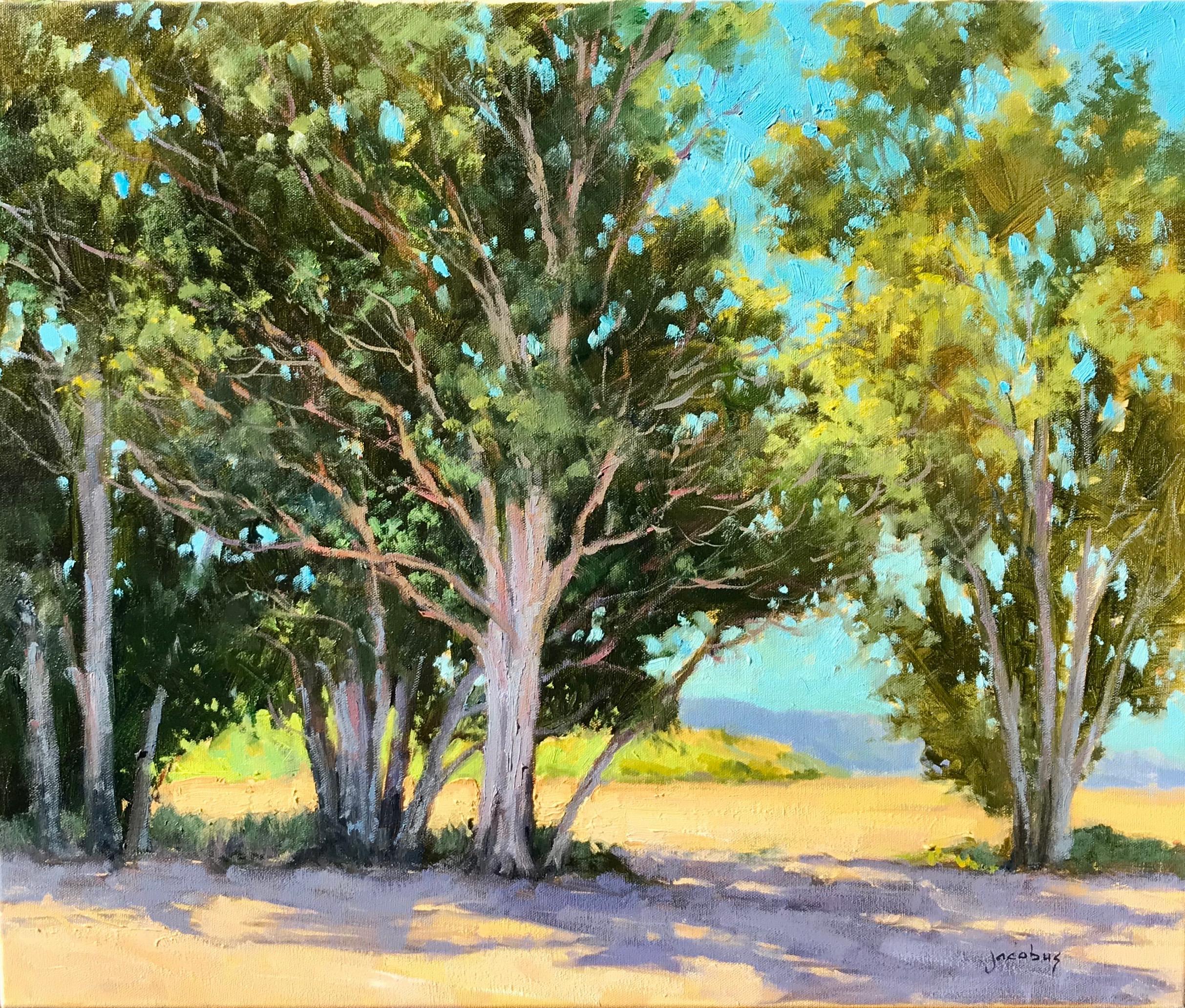 Jacobus Baas Landscape Painting - "Santa Ynez Eucalyptus" Central California Scene