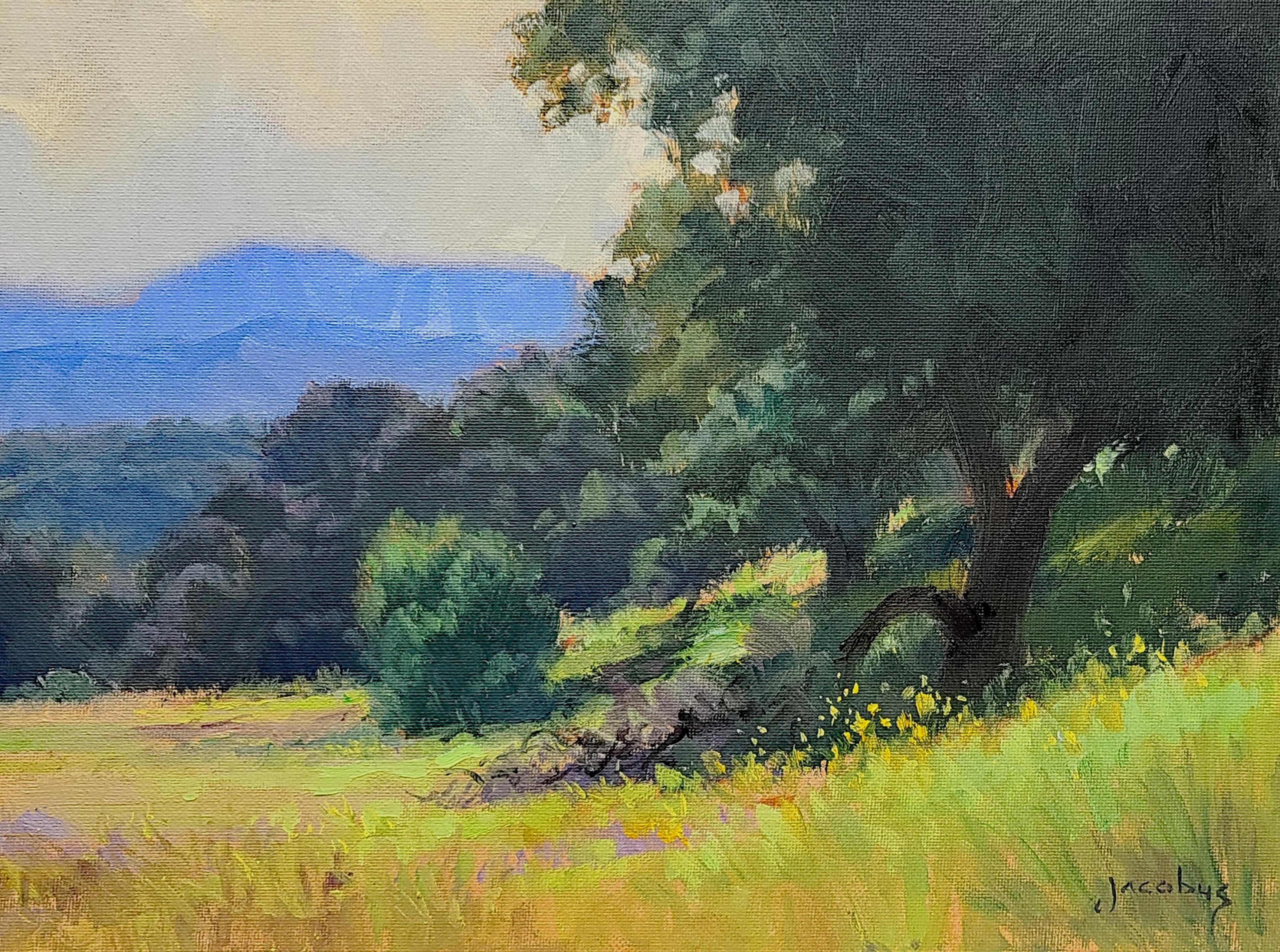 Jacobus Baas Landscape Painting - "Spring Colors" Sunny Southern California Scene
