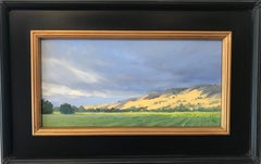 "Sunshine Through Clouds"  California Wine Country Scene