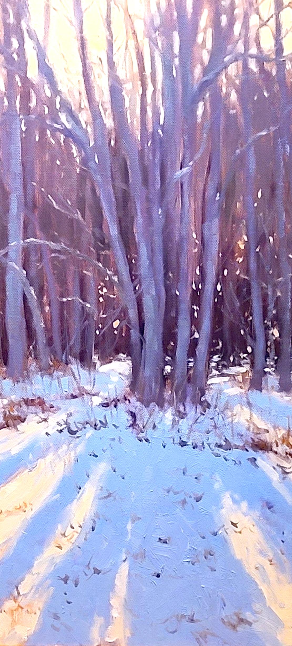 « Ombres d'arbres d'hiver » - Scène de neige du Maine - Impressionnisme Painting par Jacobus Baas