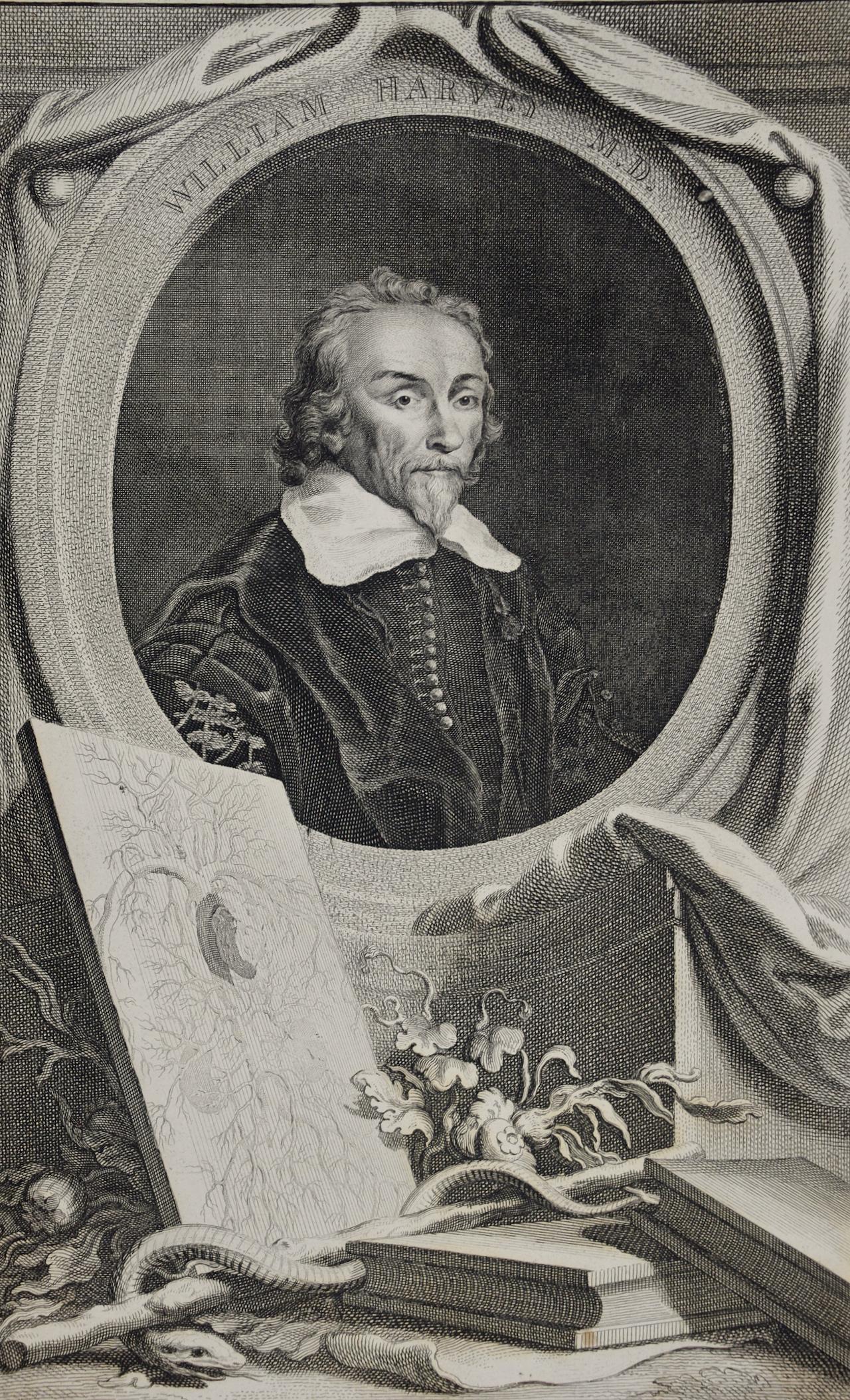 18th C. Portrait of William Harvey, MD: 17th C. Circulatory System Discoveries  - Print by Jacobus Houbraken