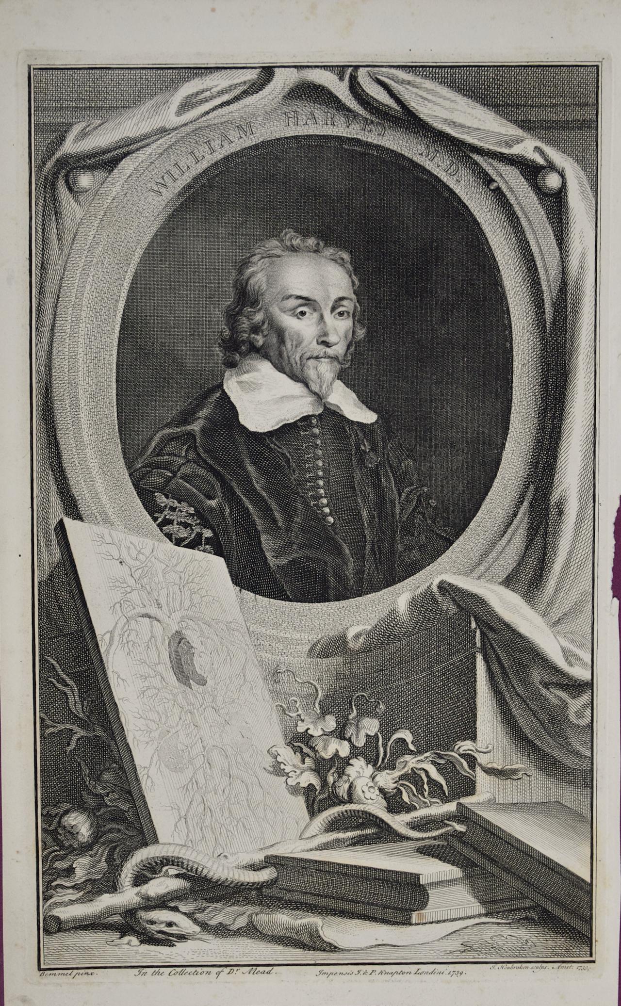 Jacobus Houbraken Portrait Print - 18th C. Portrait of William Harvey, MD: 17th C. Circulatory System Discoveries