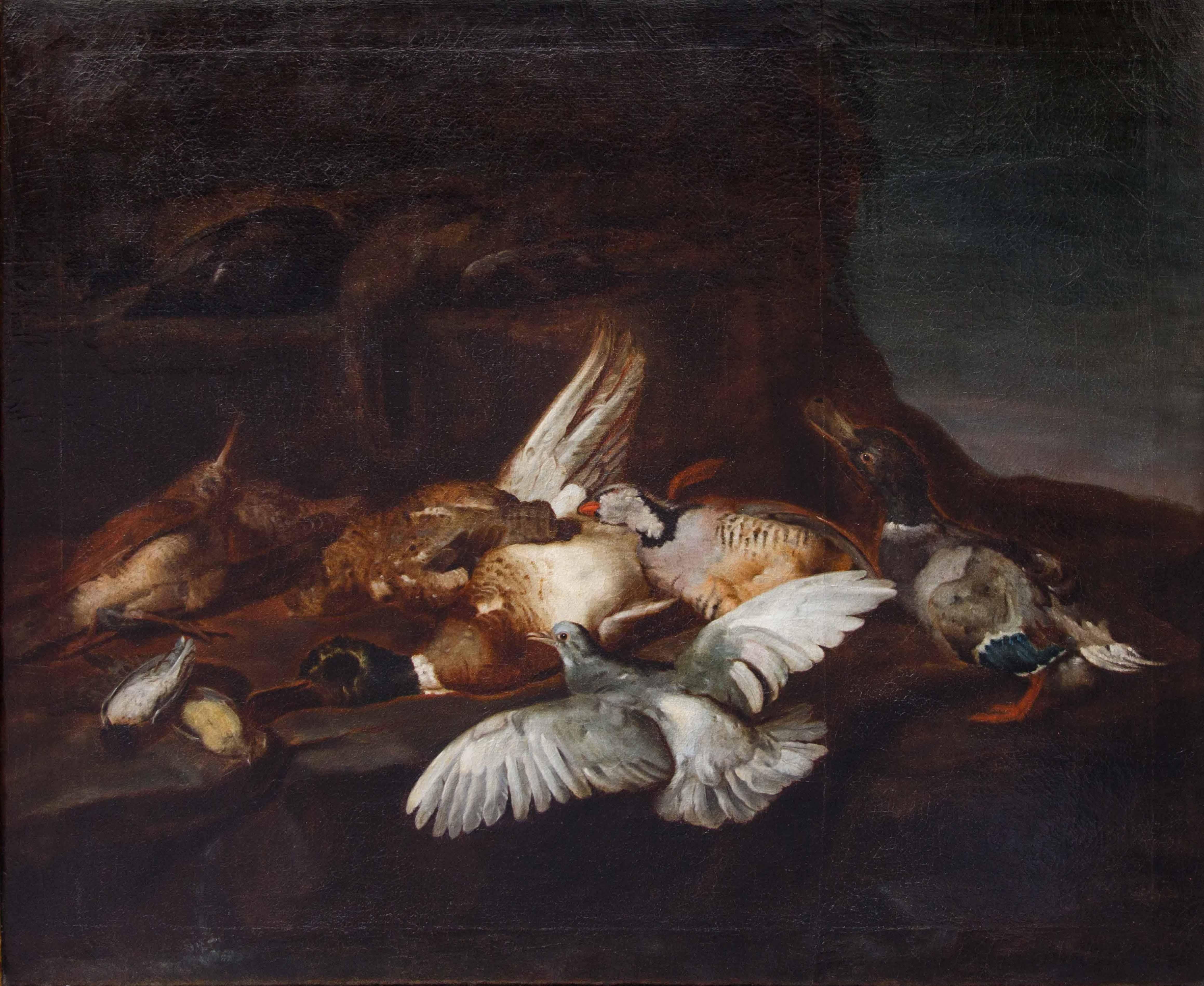 Attr. Jacobus o Iacomo Victor (Amsterdam 1640 ca. - 1705), Natura morta in vendita 7
