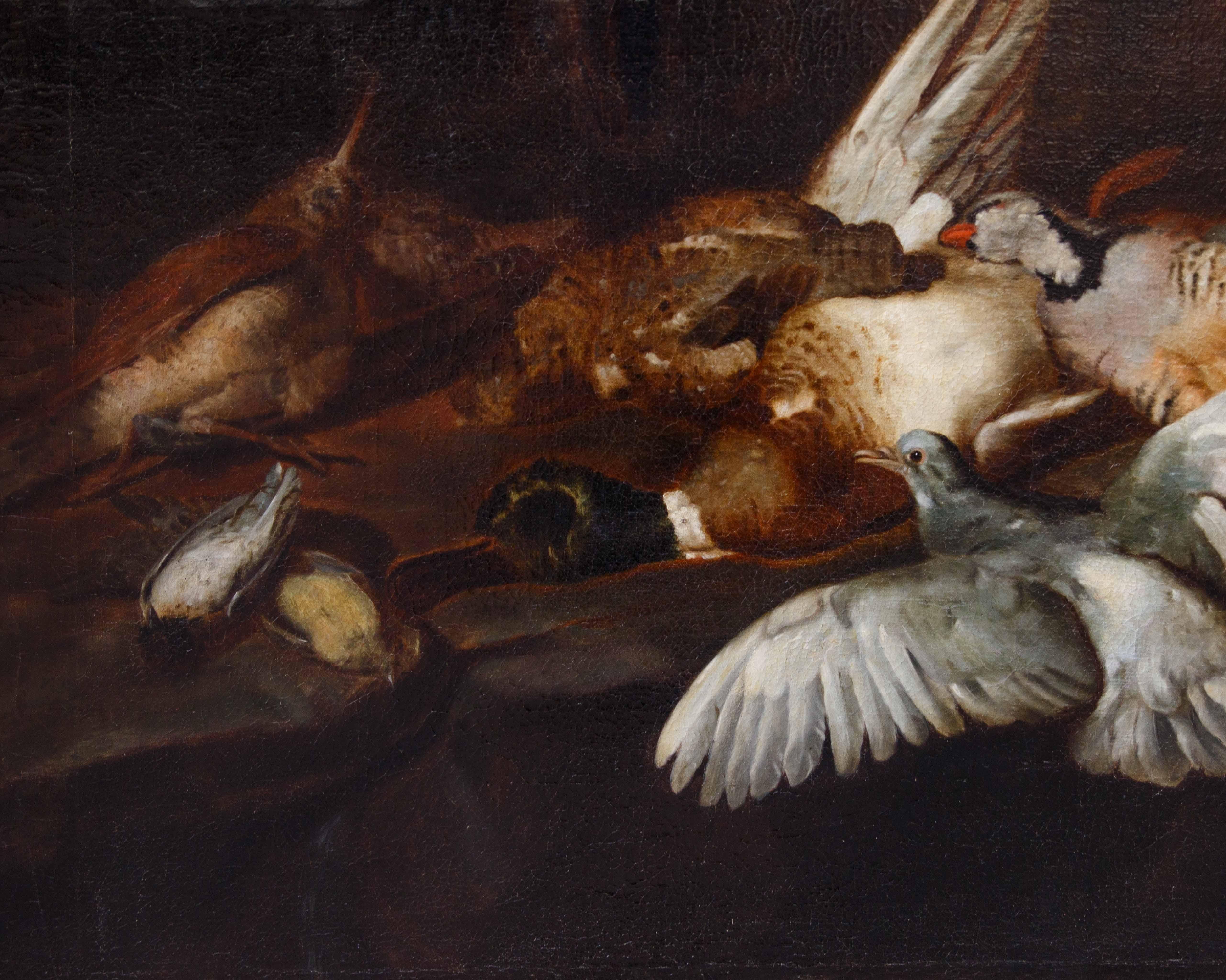 Attr. Jacobus o Iacomo Victor (Amsterdam 1640 ca. - 1705), Natura morta - Painting di  Jacobus o Iacomo Victor (Amsterdam 1640 ca. - 1705)  