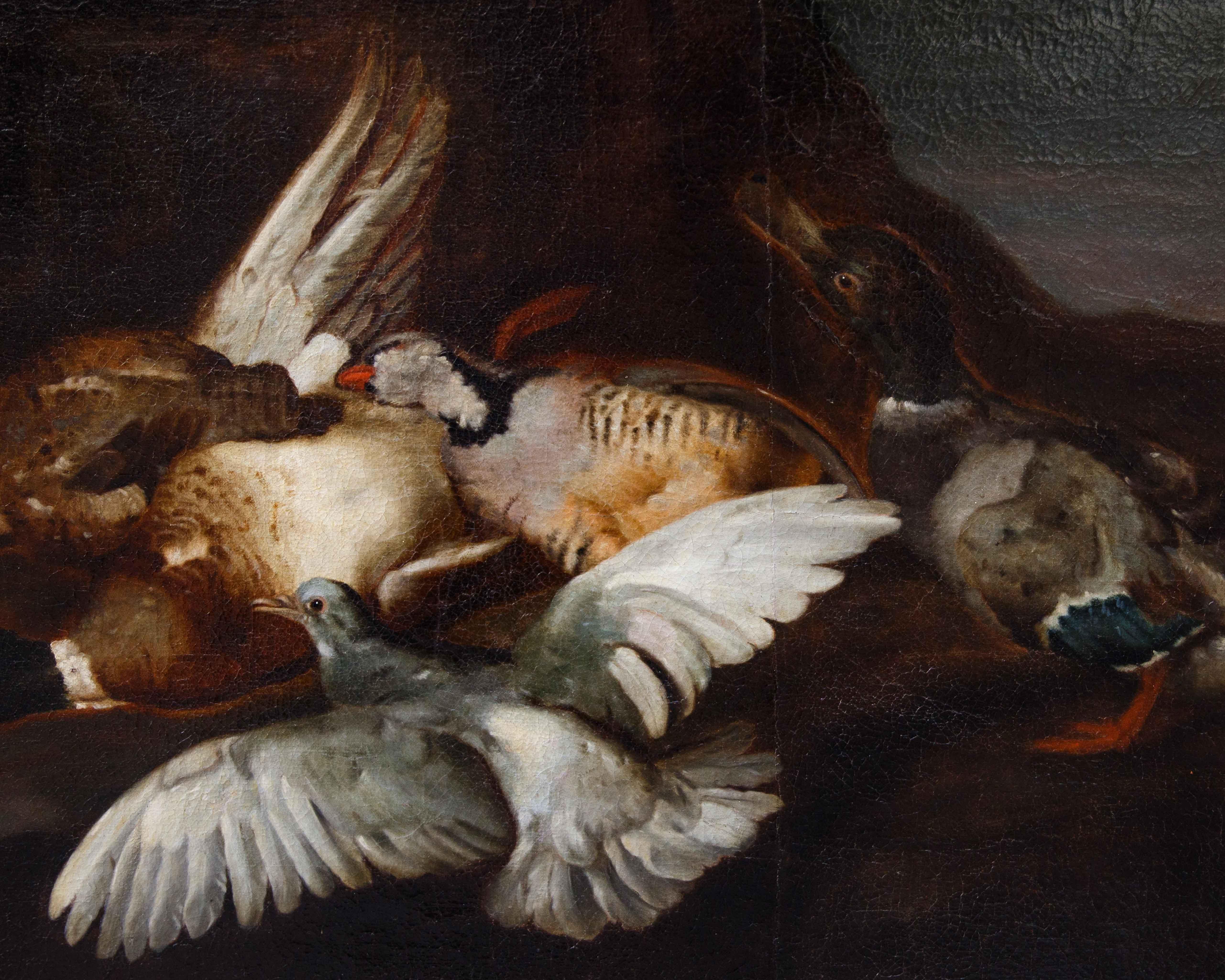Attr. Jacobus o Iacomo Victor (Amsterdam 1640 ca. - 1705), Natura morta - Painting Altro stile artistico di  Jacobus o Iacomo Victor (Amsterdam 1640 ca. - 1705)  