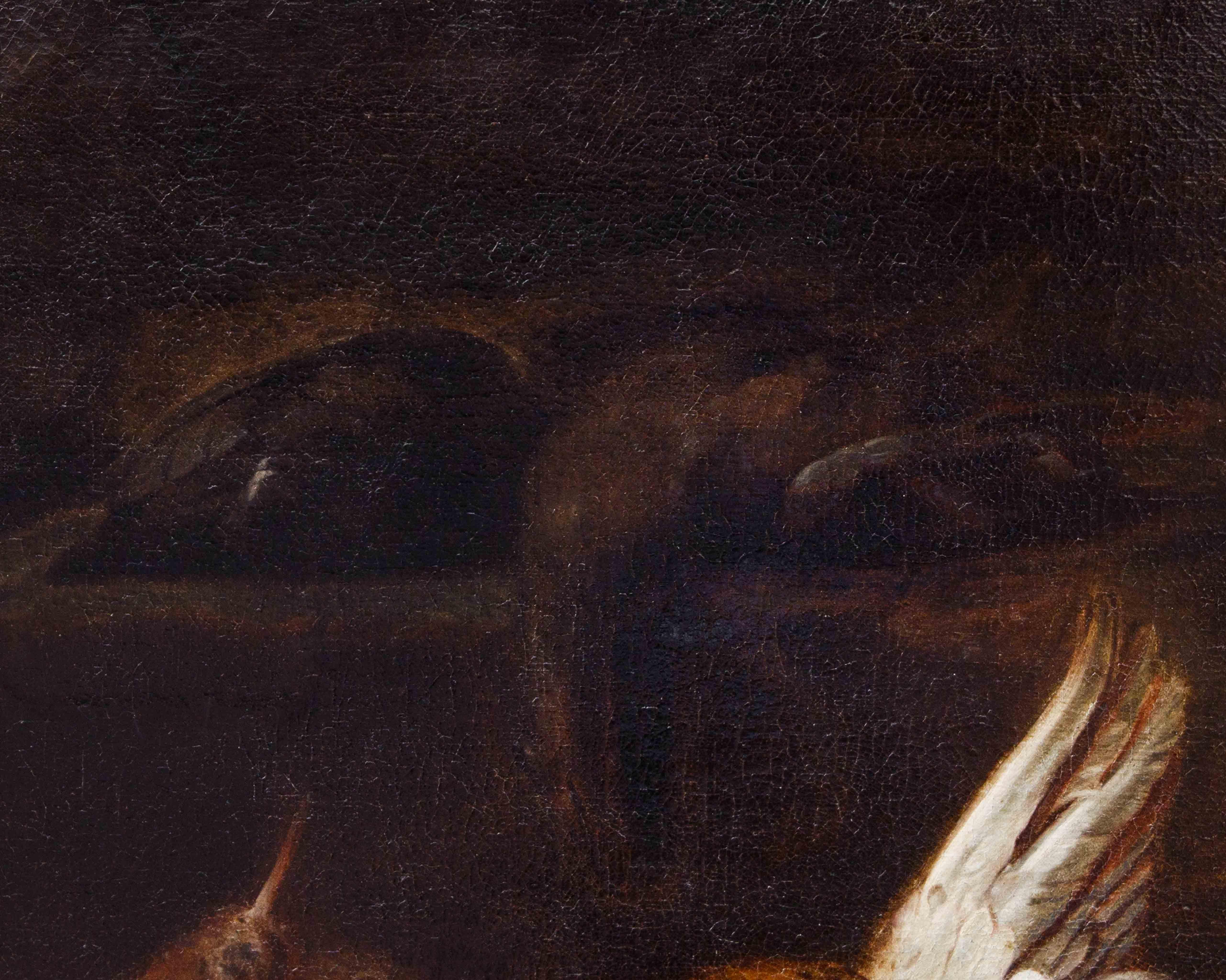 Attr. Jacobus o Iacomo Victor (Amsterdam 1640 ca. - 1705)

Natura morta con uccelli

Olio su tela, cm 112 x 133 

La natura morta qui esaminata costituisce un raro esempio di presenza contemporanea d'animali vivi e morti in un'unica composizione. Su