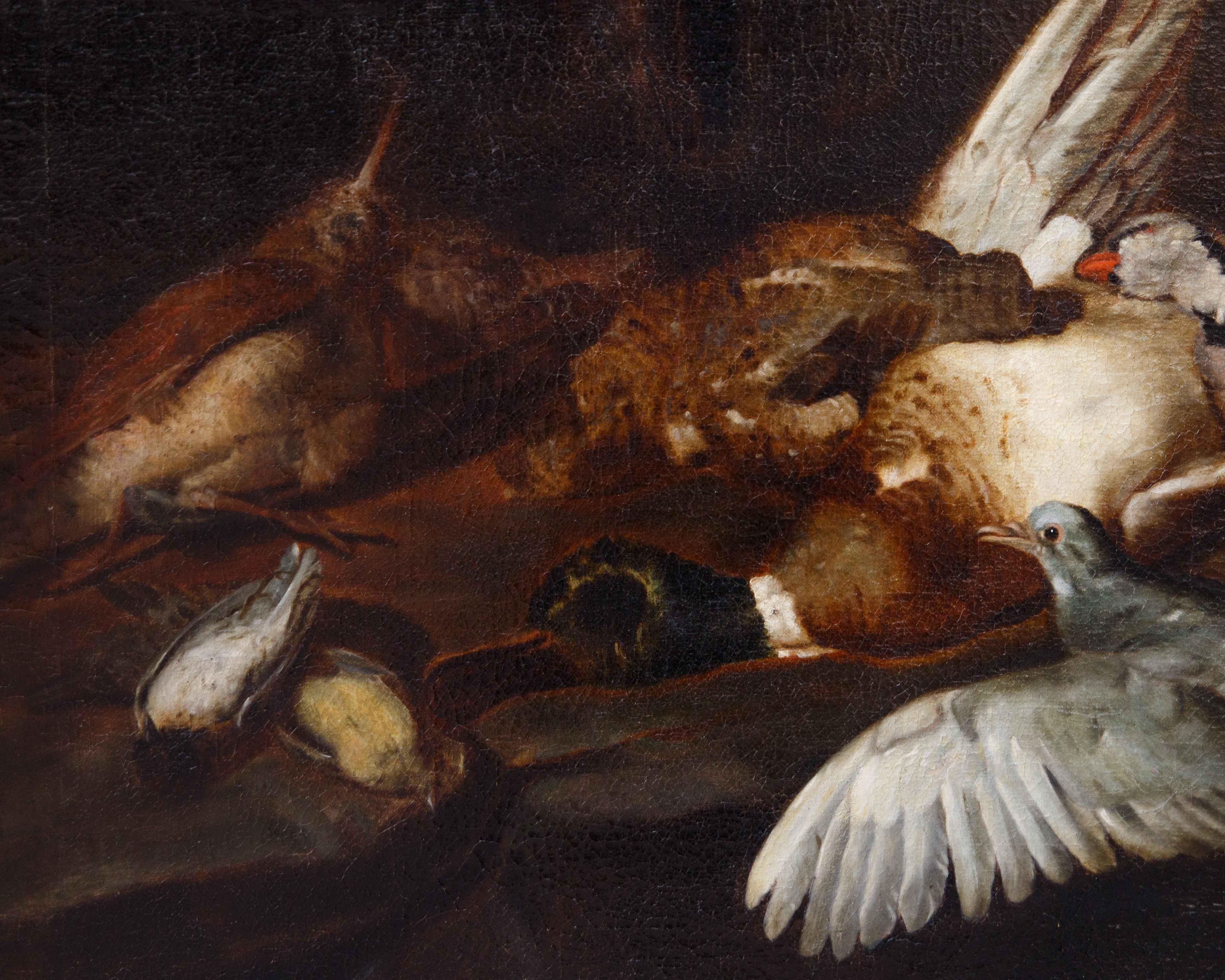 Attr. Jacobus o Iacomo Victor (Amsterdam 1640 ca. - 1705), Natura morta in vendita 1