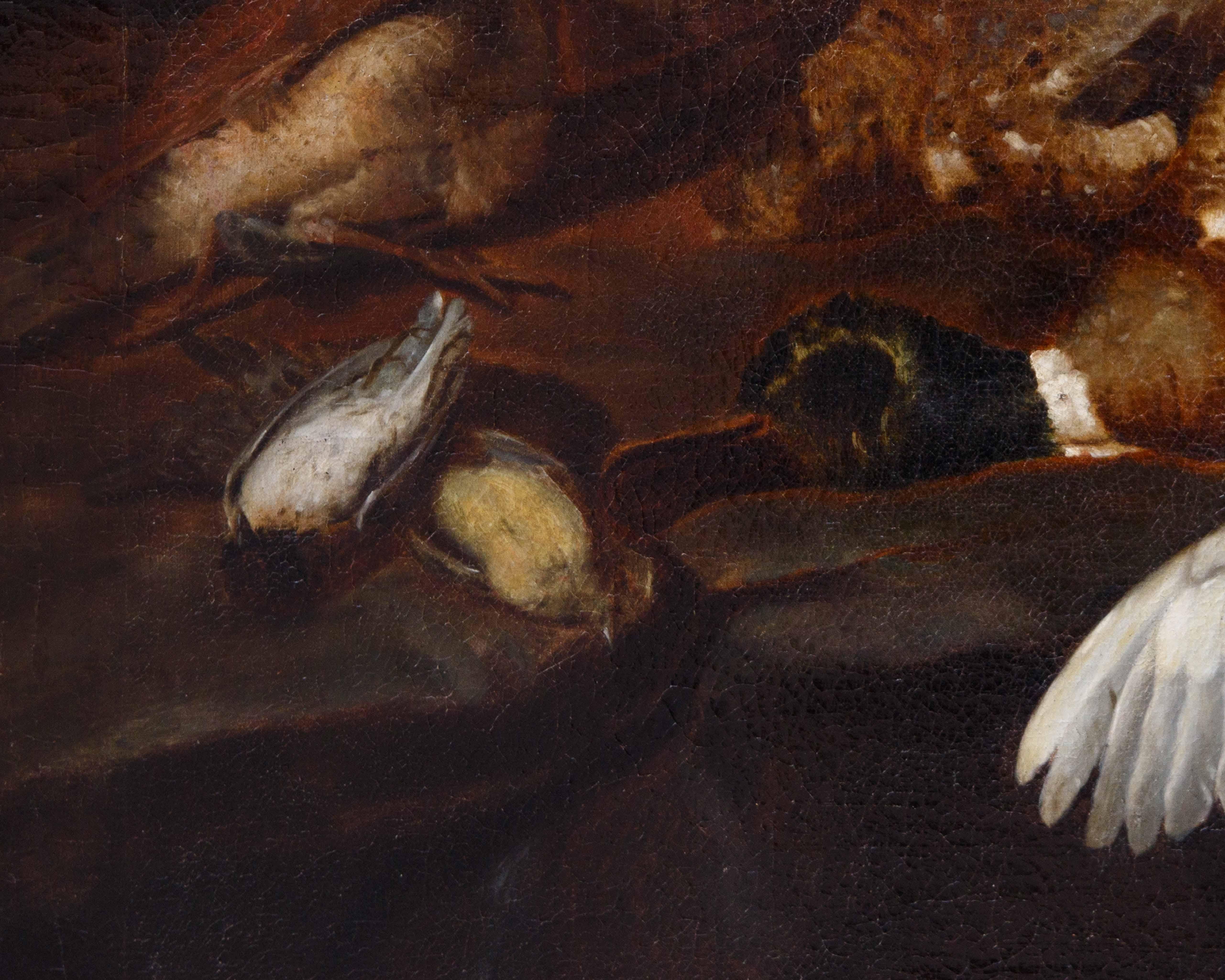 Attr. Jacobus o Iacomo Victor (Amsterdam 1640 ca. - 1705), Natura morta in vendita 2