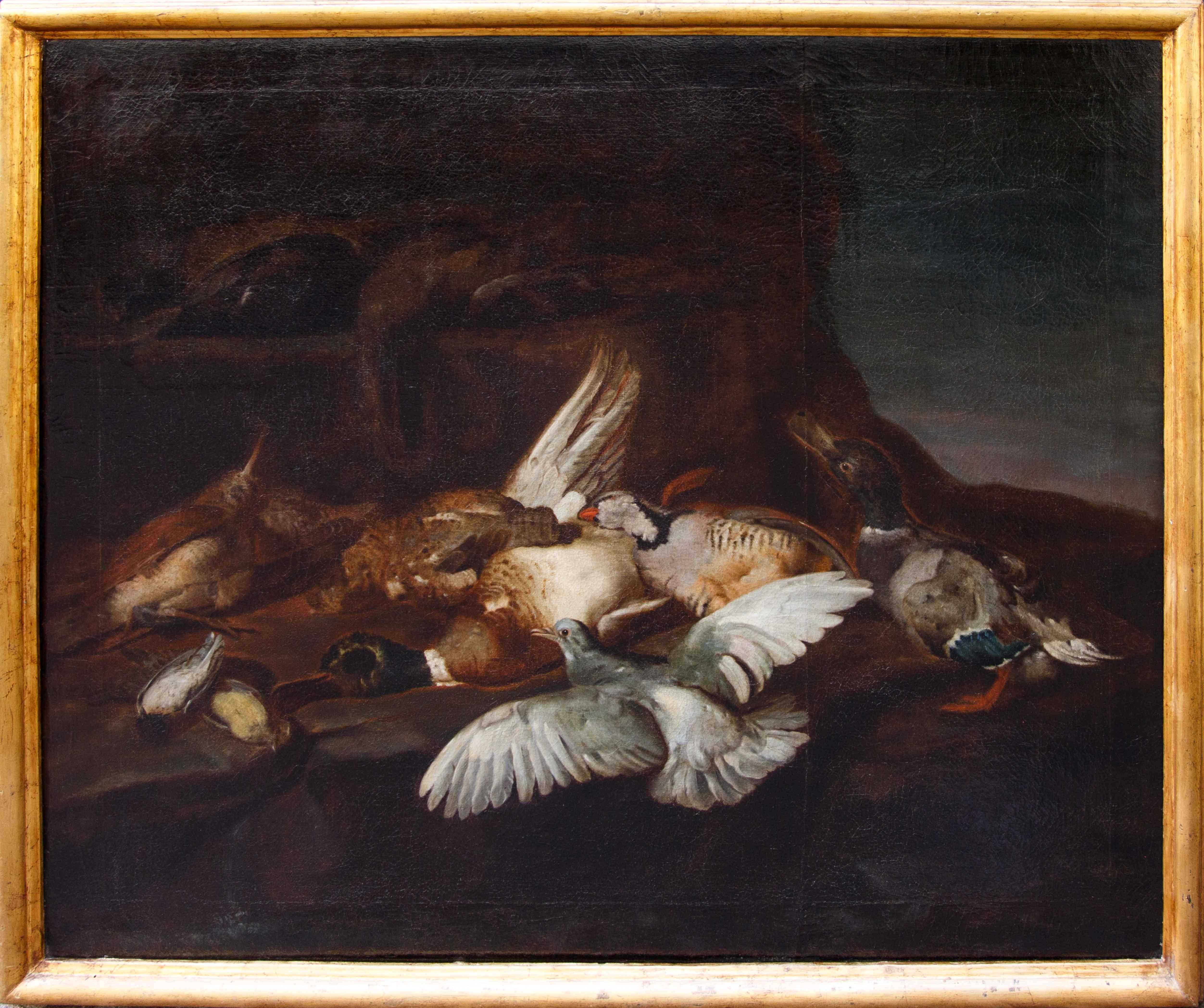 Attr. Jacobus o Iacomo Victor (Amsterdam 1640 ca. - 1705), Natura morta