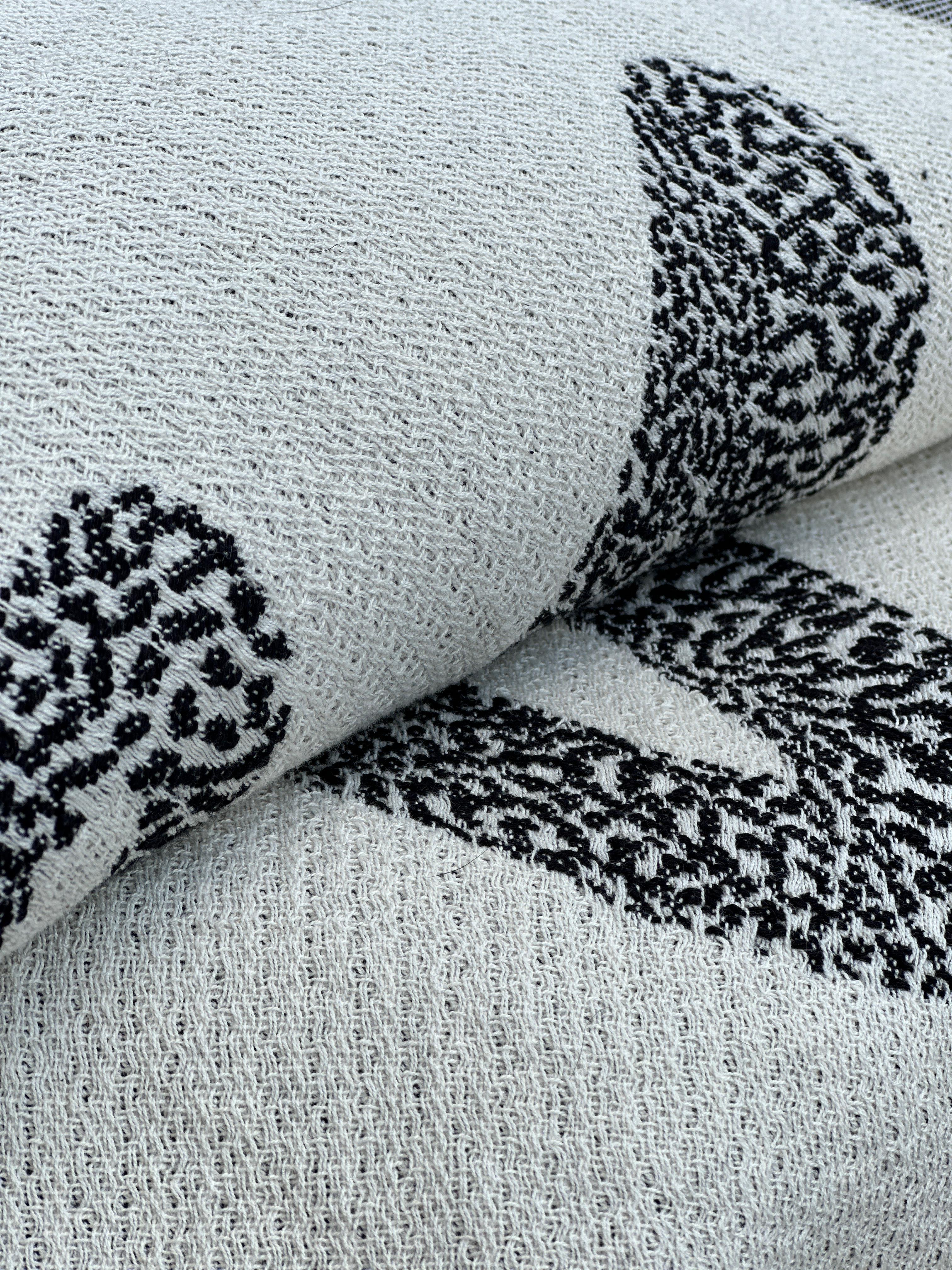 polpo coperta
