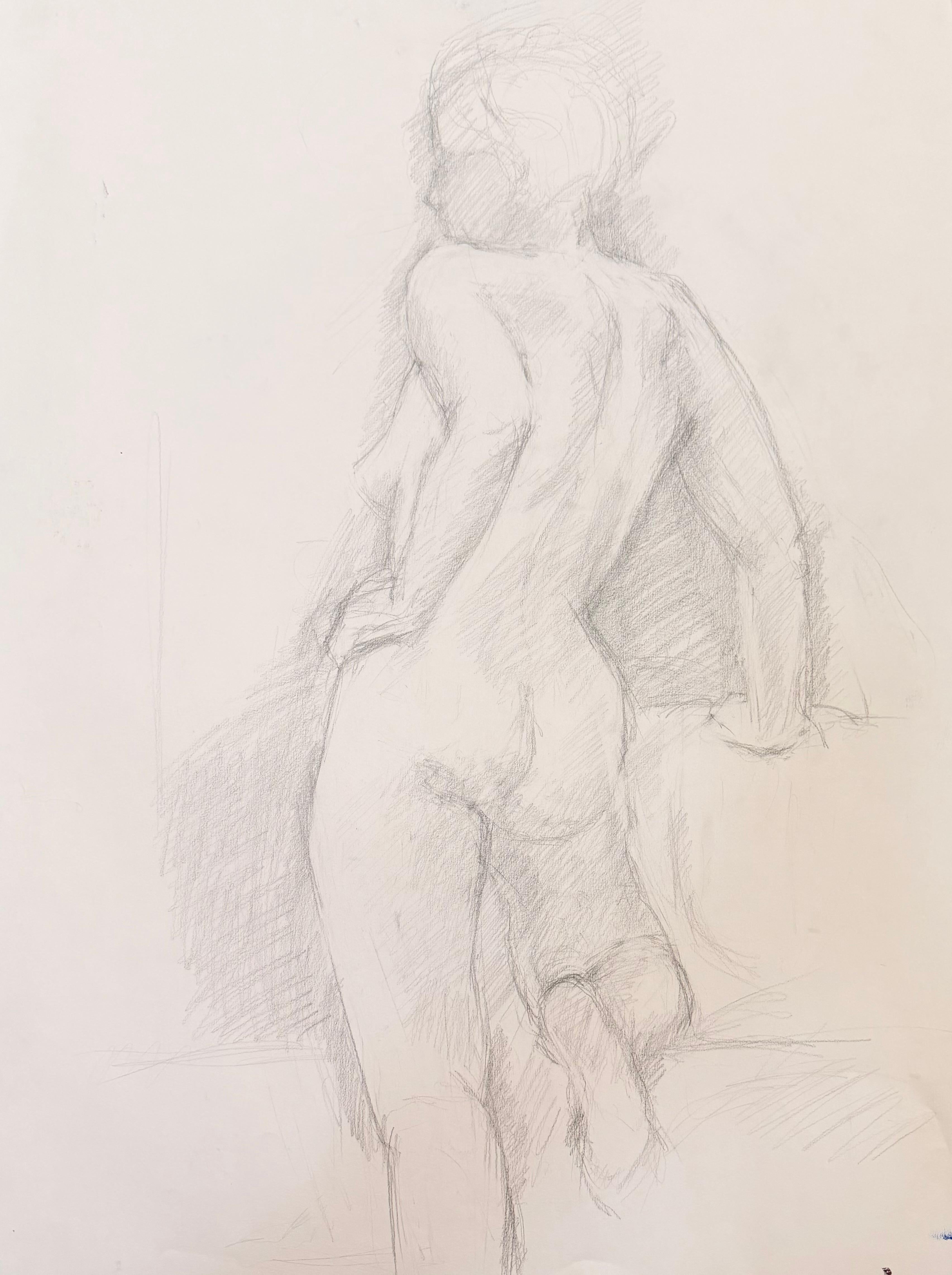 Posed Female Nude Pencil Sketch 20th Modernist Century Drawing