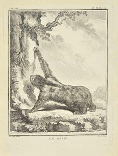 L'Al Adulte - Etching by Jacques Baron - 1771