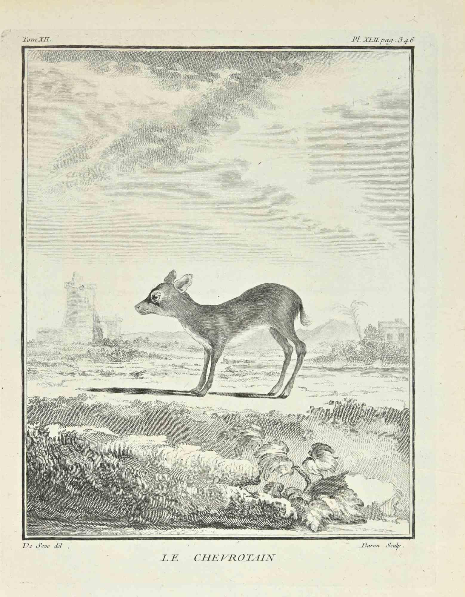 Le Chevrotain - Etching by Jacques Baron - 1771