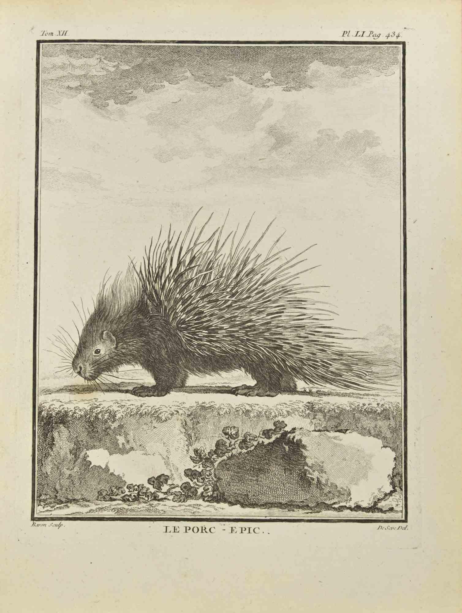 Le Porc is an etching realized by Jacques Baron in 1771.

It belongs to the suite "Histoire Naturelle de Buffon".

The Artist's signature is engraved lower right.

Good conditions with slight foxing.