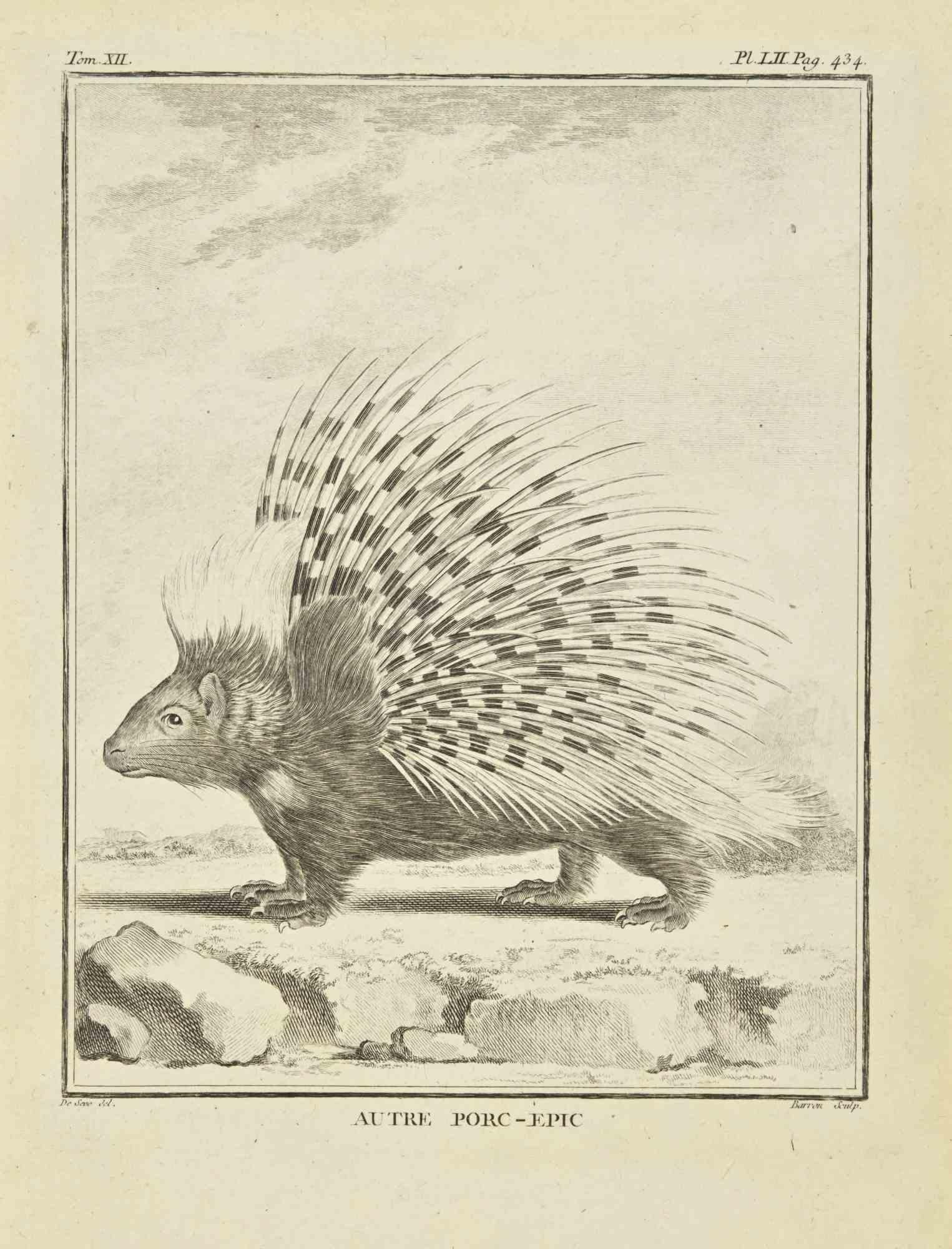 Porcupine is an etching realized by Jacques Baron in 1771.

It belongs to the suite "Histoire Naturelle de Buffon".

The Artist's signature is engraved lower right.

Good conditions