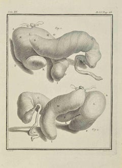 Les organes - eau-forte de Jacques Baron - 1771