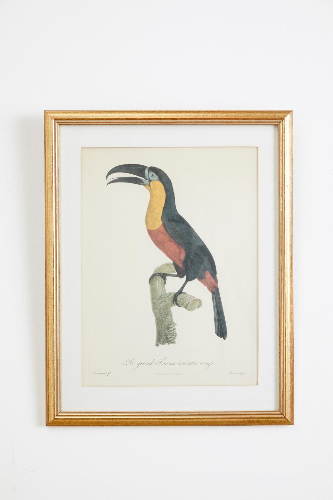 Set of 16 Hand Colored Etchings 5