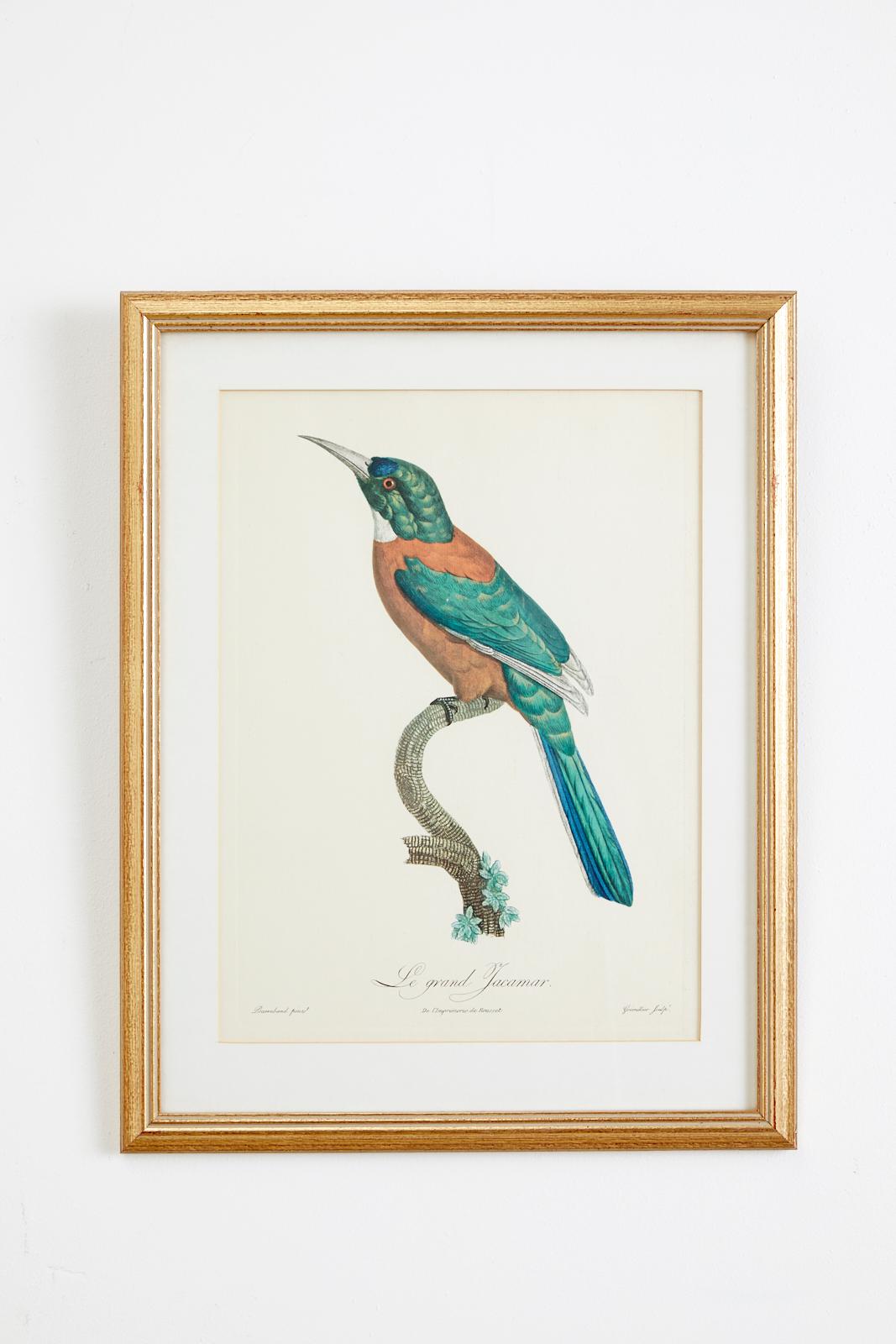 Set of 16 Hand Colored Etchings 7