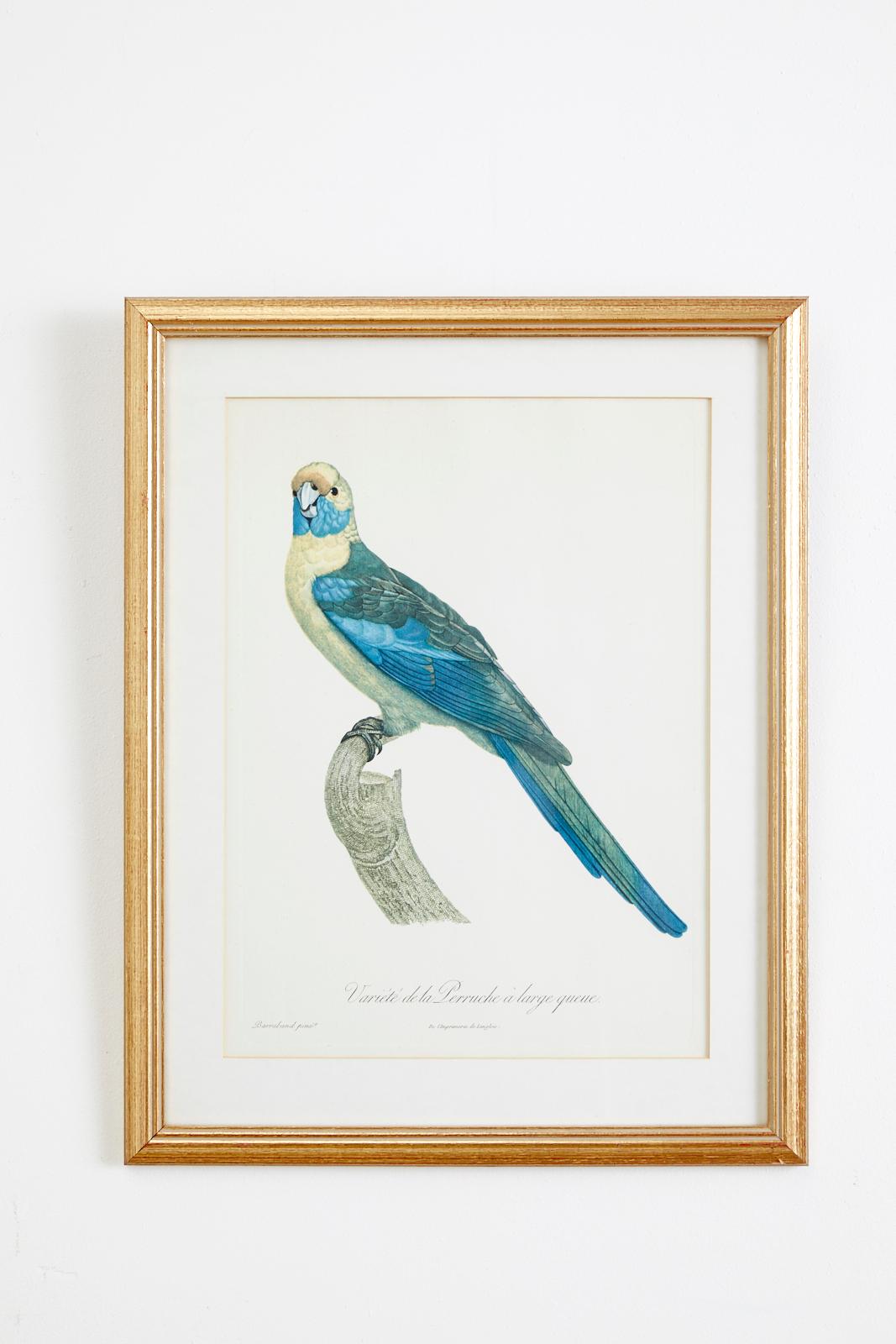Set of 16 Hand Colored Etchings 8