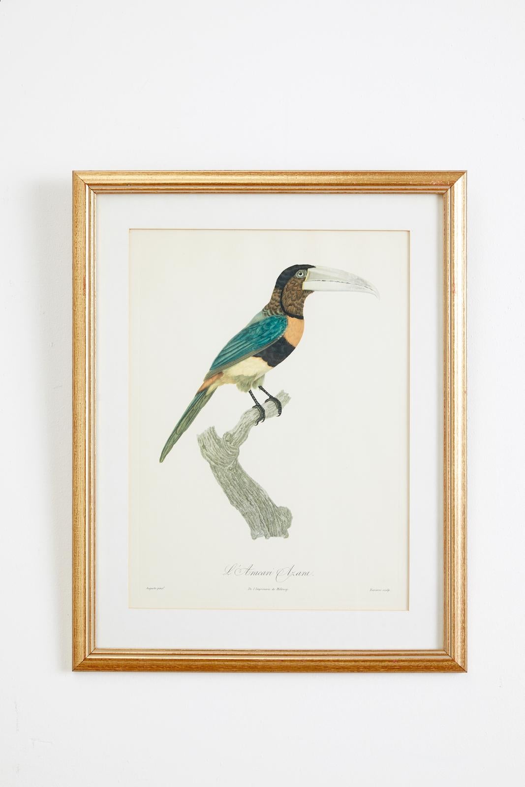 Set of 16 Hand Colored Etchings 9
