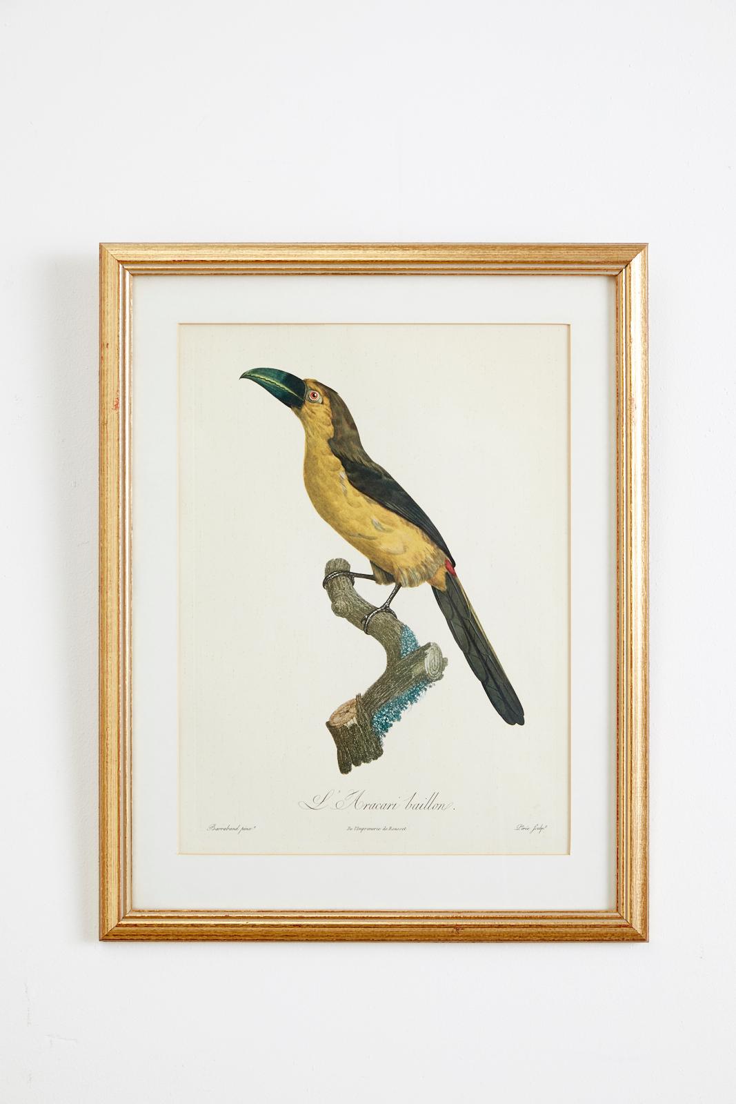 Set of 16 Hand Colored Etchings 11