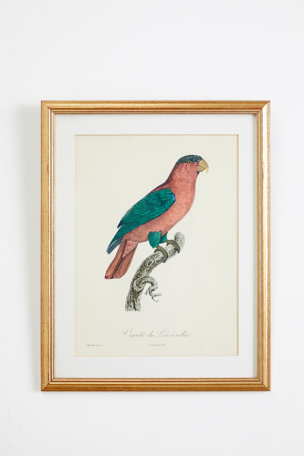 Set of 16 Hand Colored Etchings 12