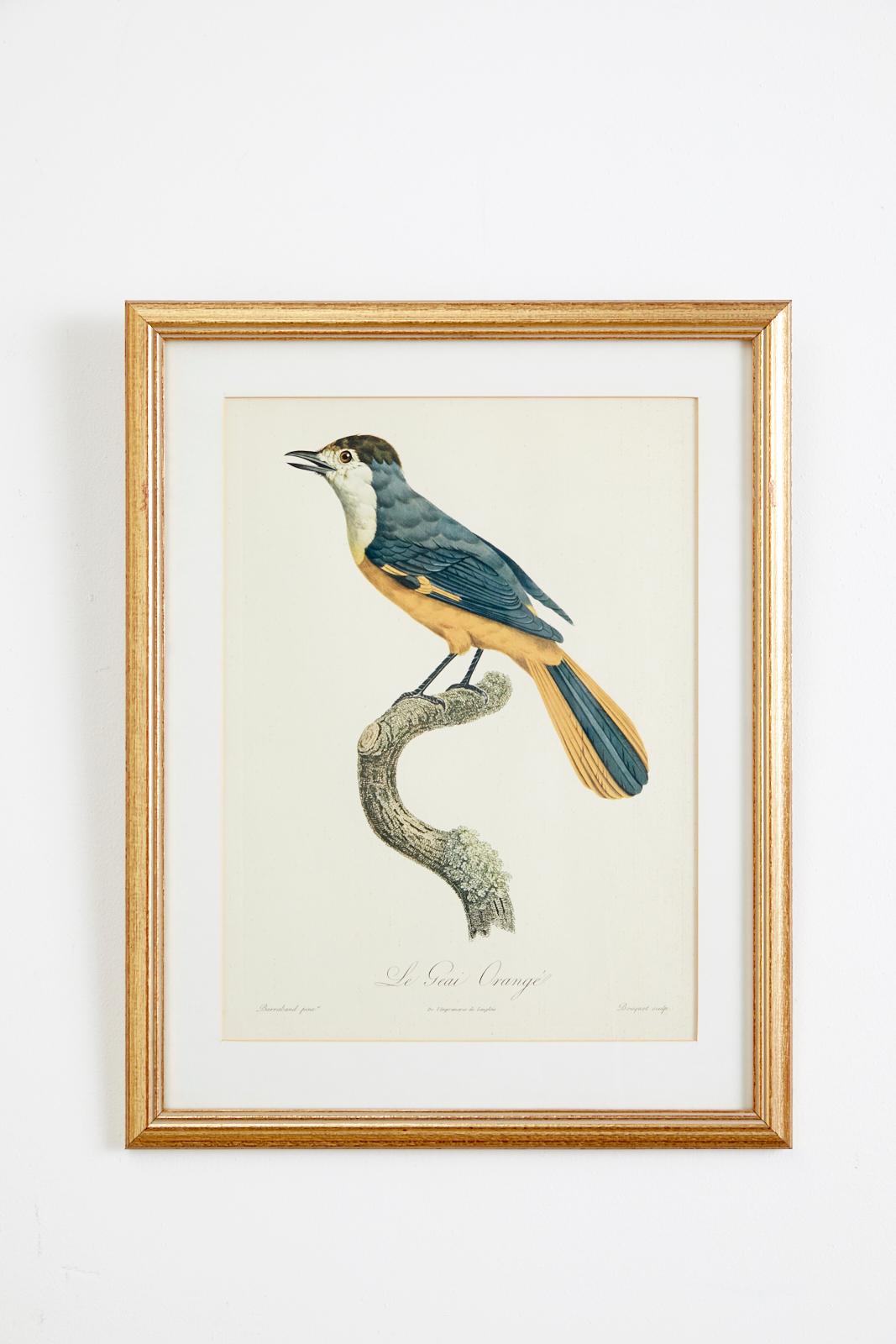 Set of 16 Hand Colored Etchings - Print by Jacques Barraband