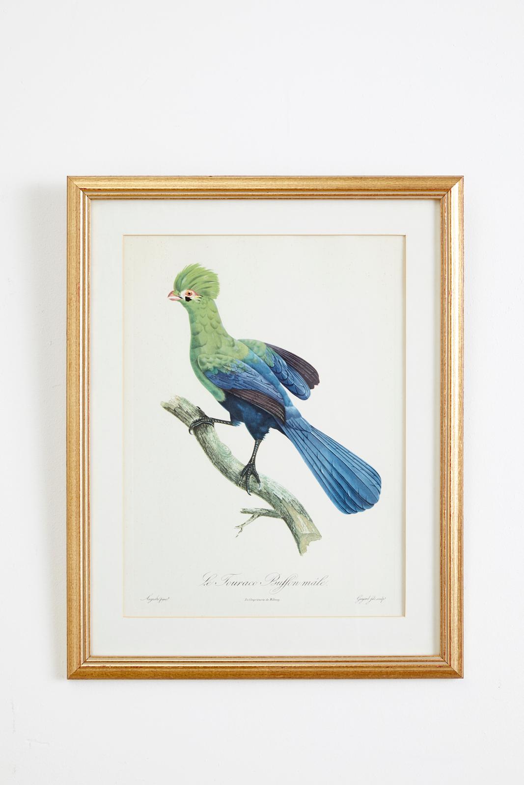 Set of 16 Hand Colored Etchings 3