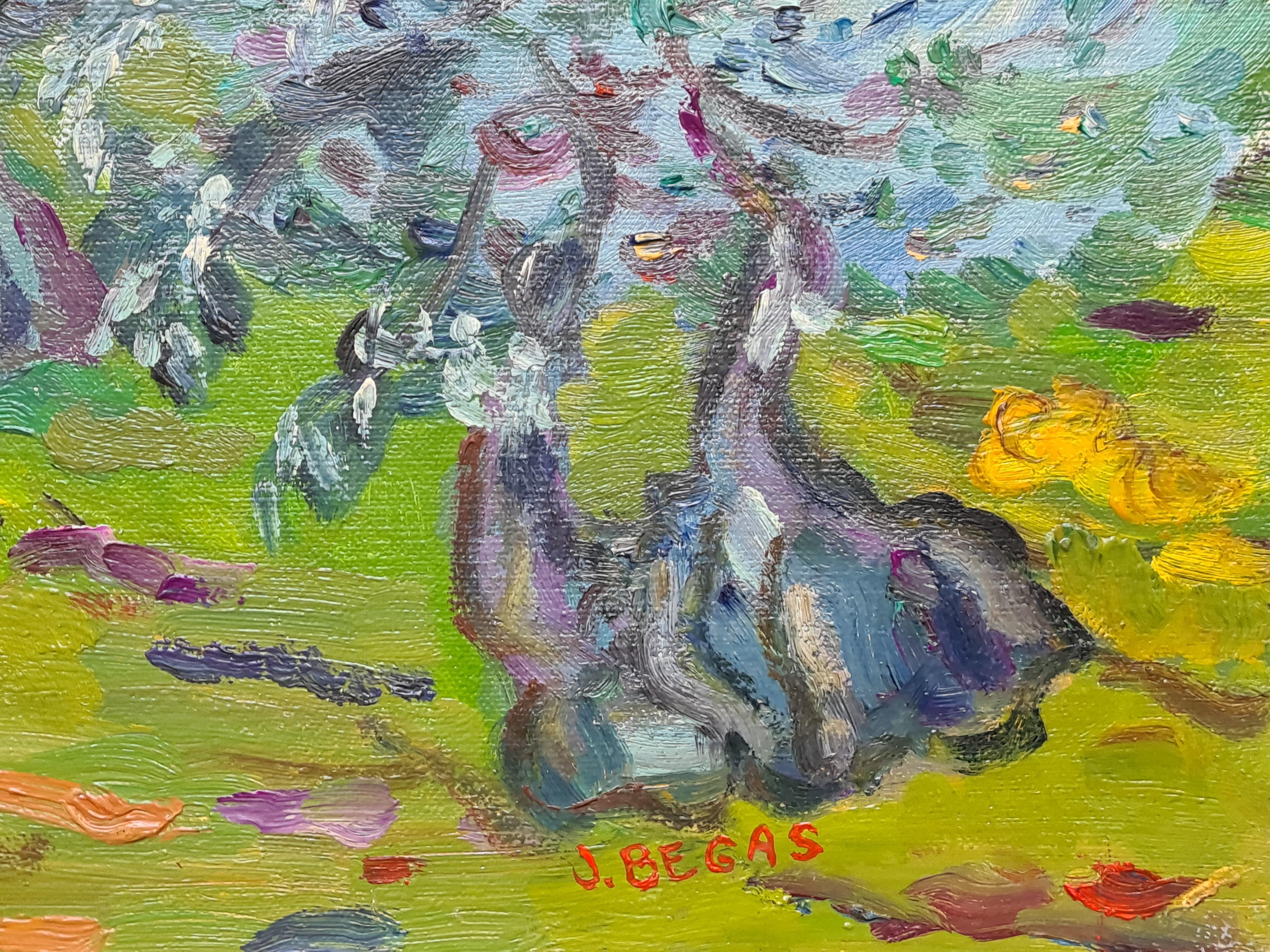 Les Oliviers, Paesaggio rurale post impressionista del sud della Francia. Olio su tela. - Landscape Painting Marrone di Jacques Begas