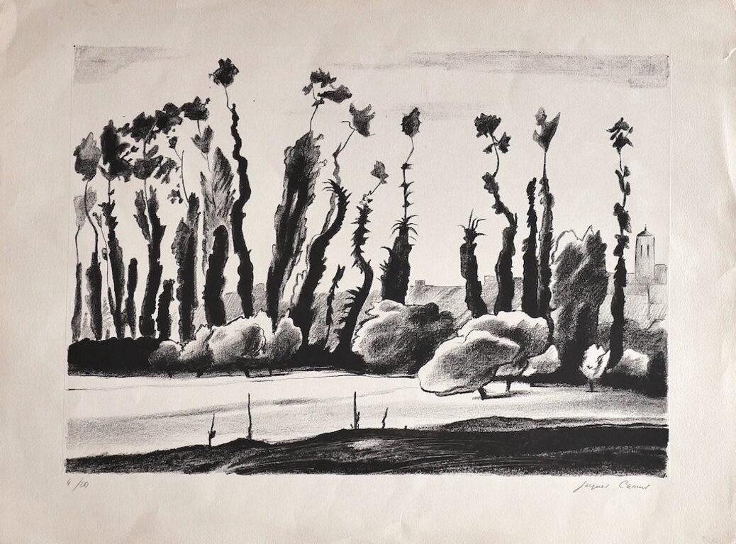 Trees  is a lithograph on paper, realized by Jacques Camus.

Hand-signed on the lower in pencil.

Numbered. Edition, 4/10.

The state of preservation of the artwork is good except for being aged and some folding and a rip on the right margin.

The