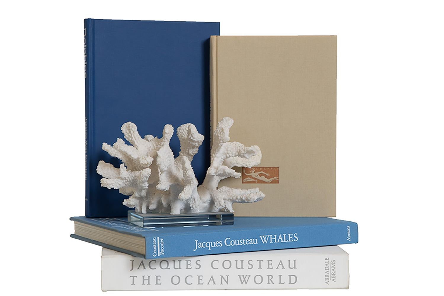 American Jacques Cousteau & The Ocean World Coffee Table Set
