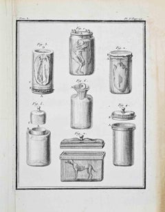 Studi anatomici - Acquaforte di Jacques de Sève - 1771