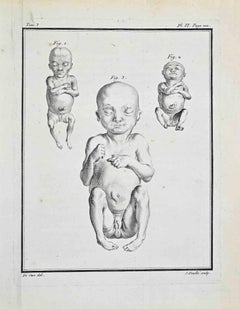 Studi anatomici - Acquaforte di Jacques de Sève - 1771