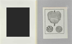 Anatomie - Etching by Jacques De Sève - 1771